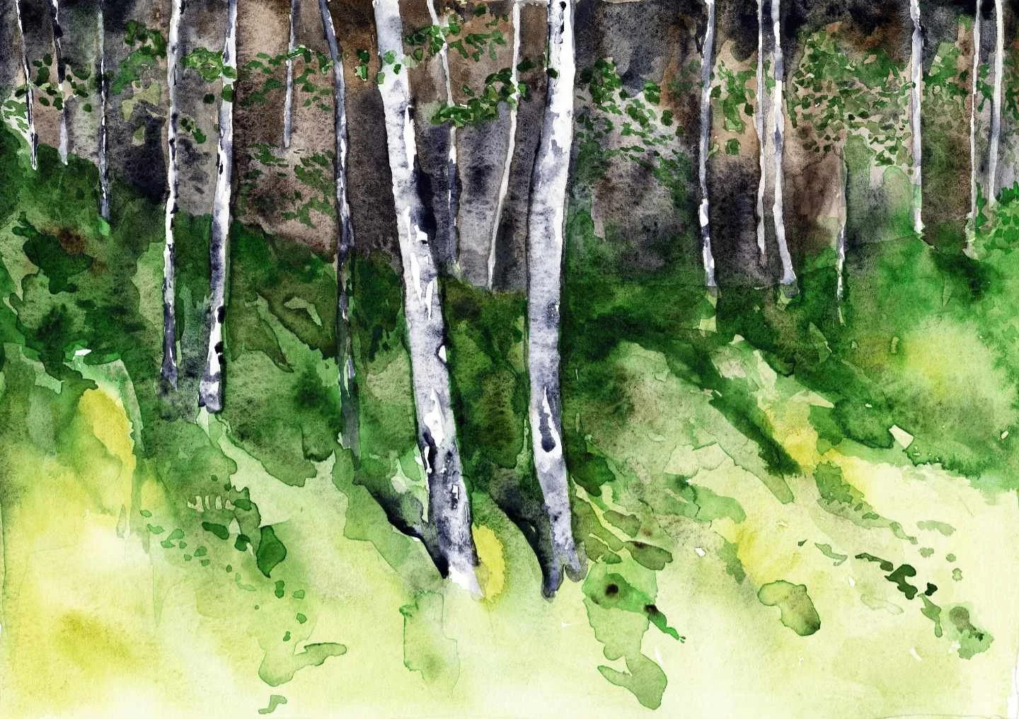 Mountain Birches 20 web.jpg