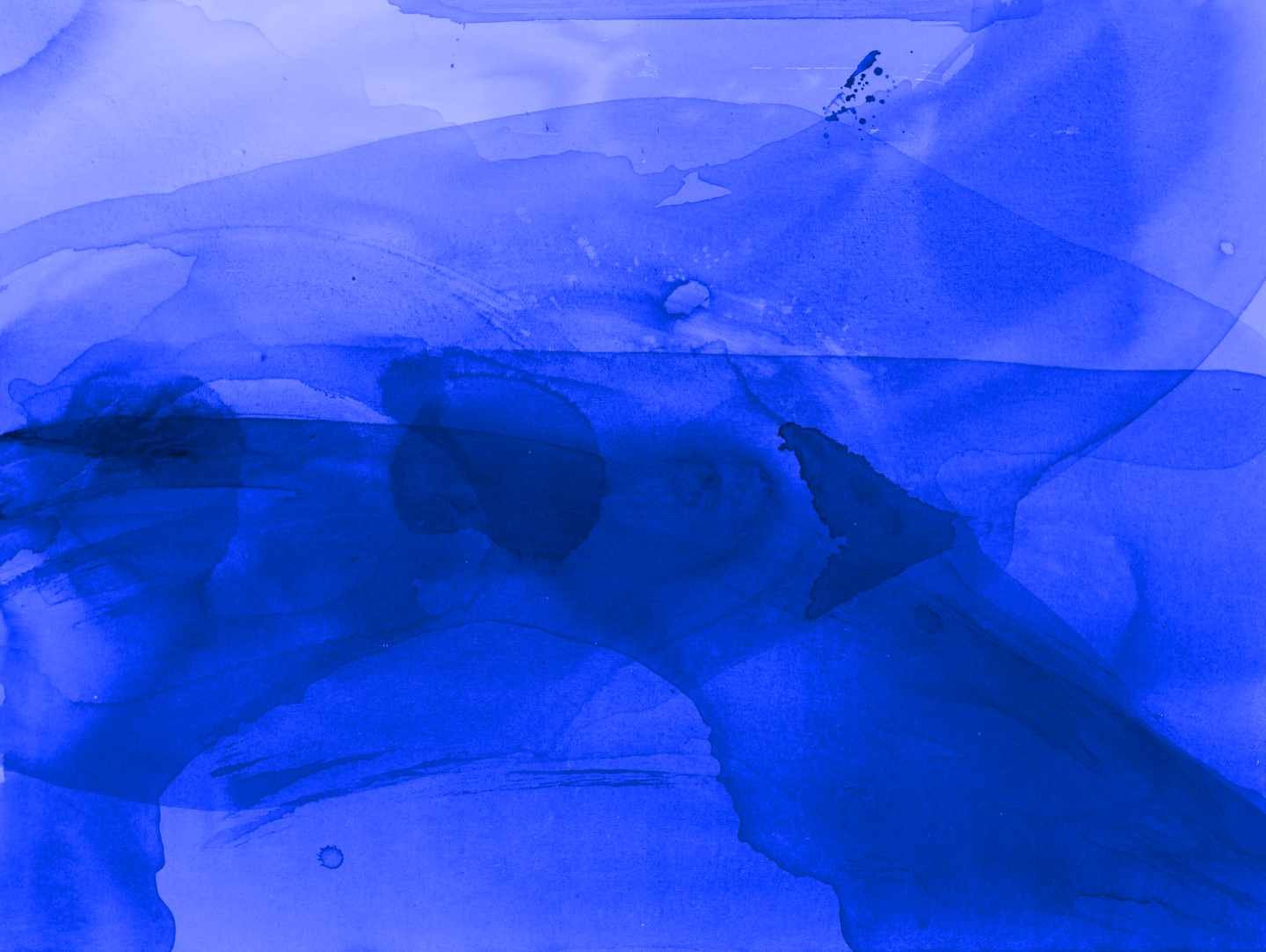 Tea Landscape for web.jpg