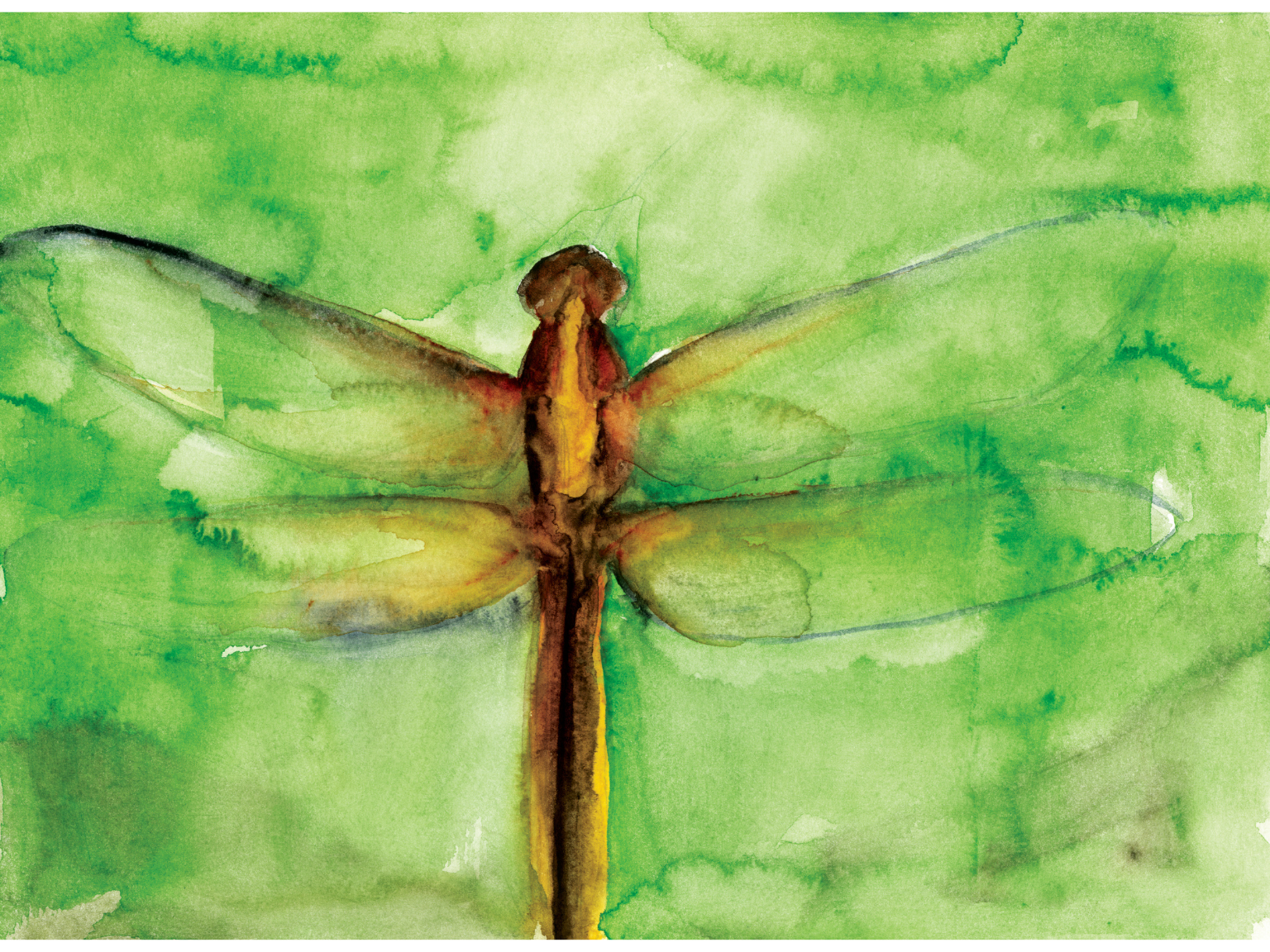 Dragonfly Watercolor Sketch