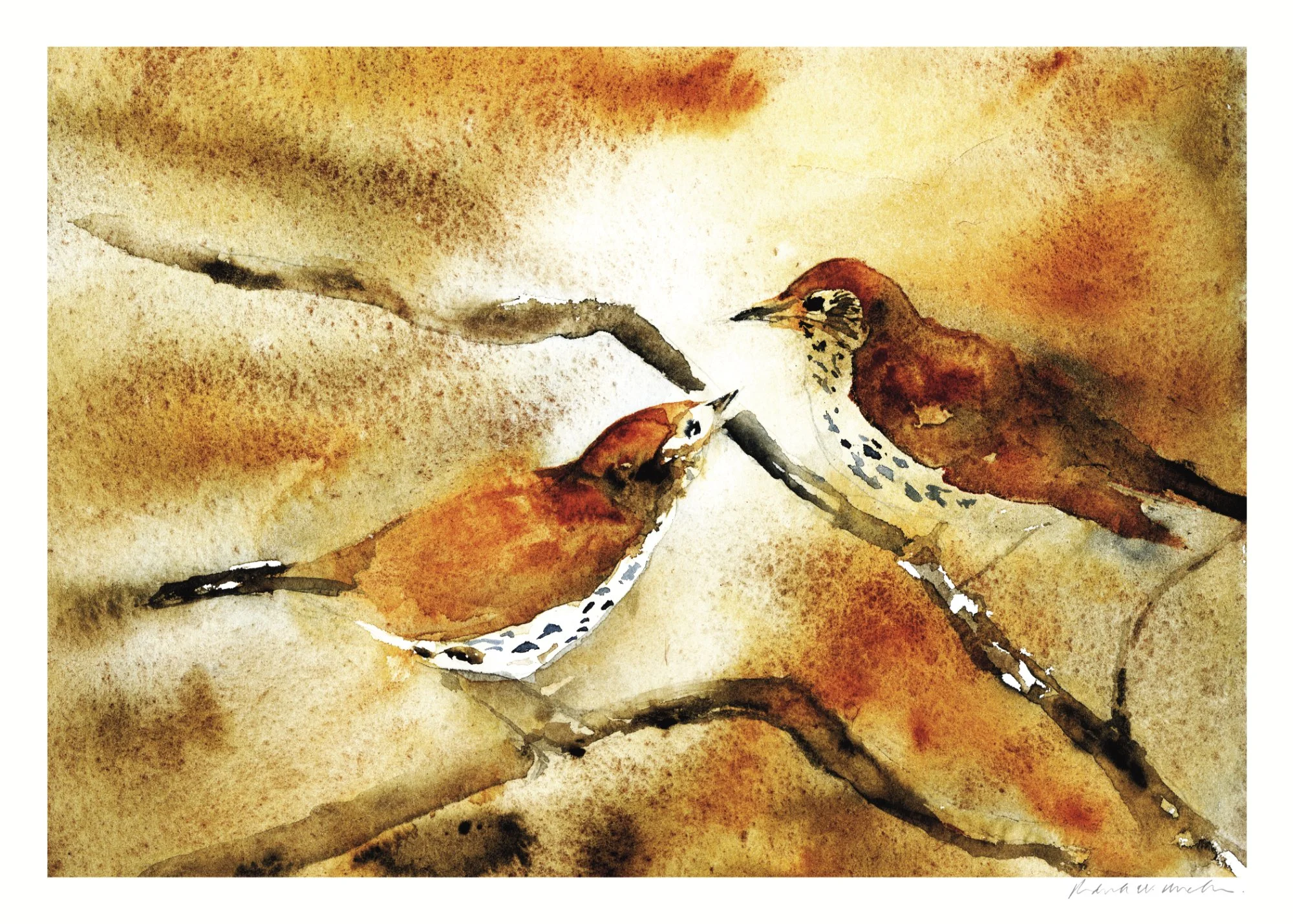 Wood Thrushes In Love web.jpg