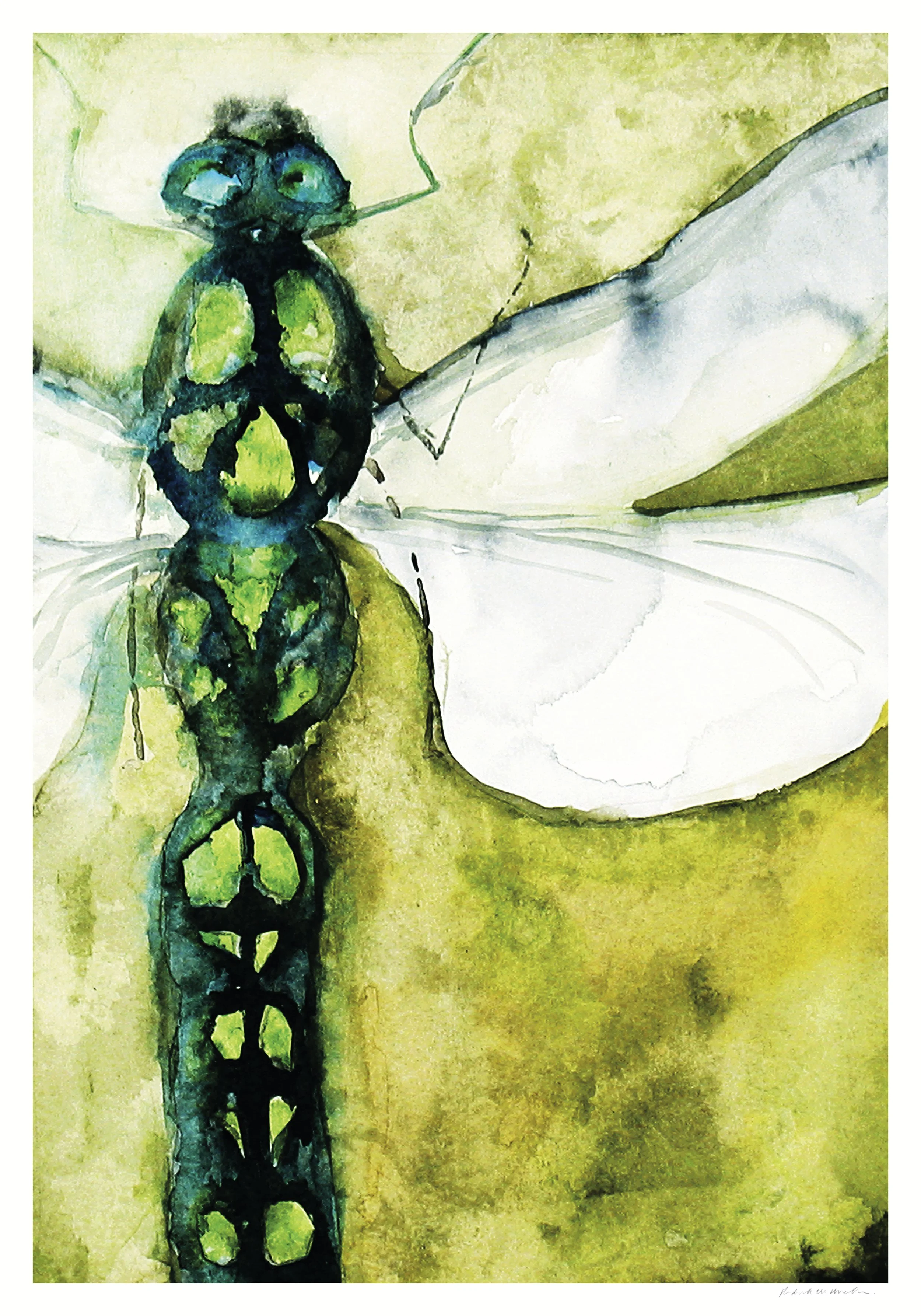 v2 RGB dragonfly web.jpg