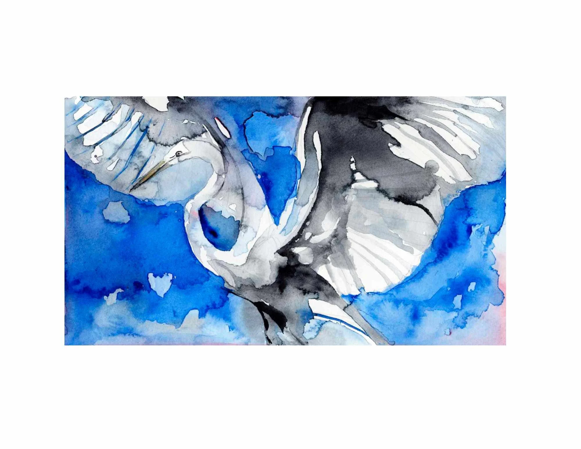 v2 Great Egret Dance White Border for Website.jpg