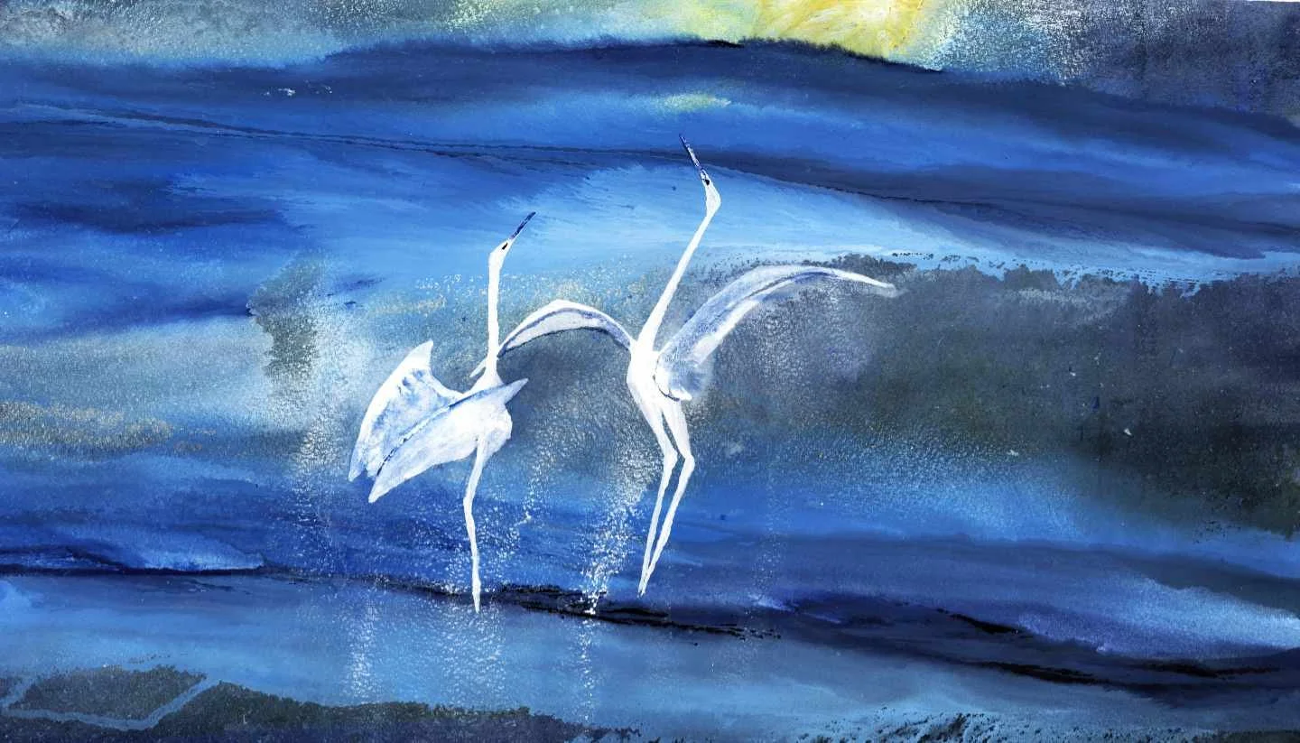 Dance Of The Cranes 20 web.jpg