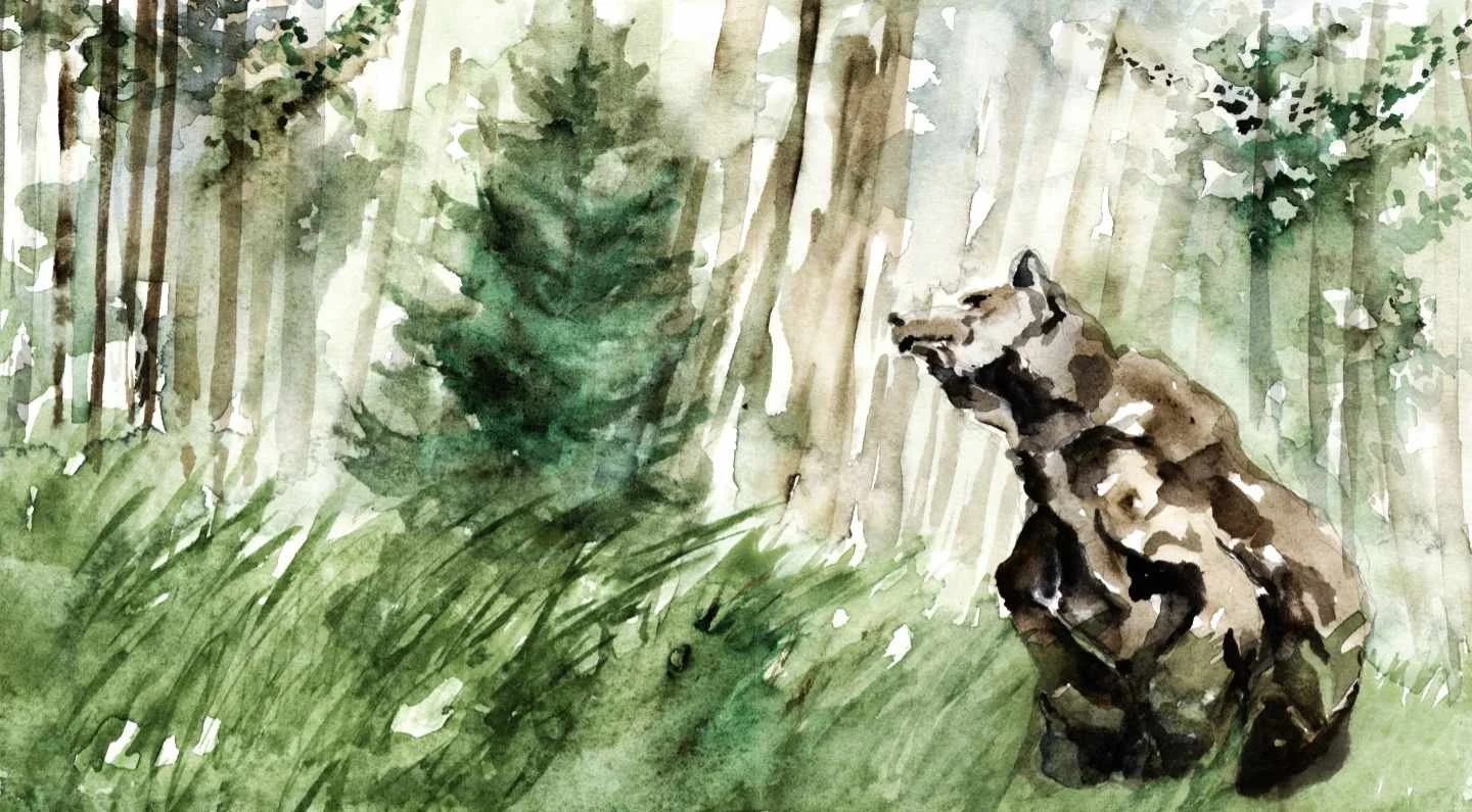 grizzly_wonder 20 x 11 for web.jpg