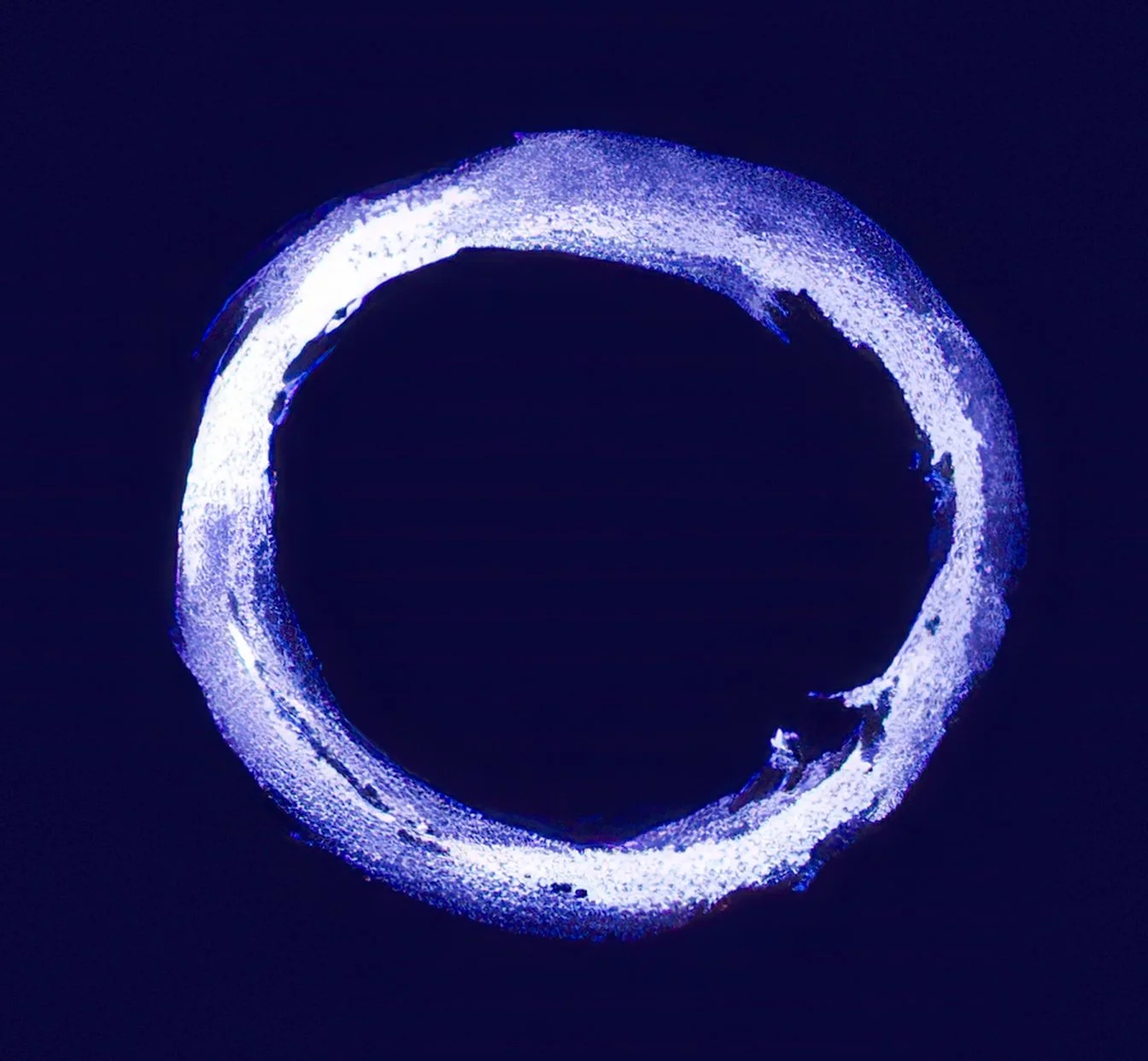 Heron Dance Art Studio