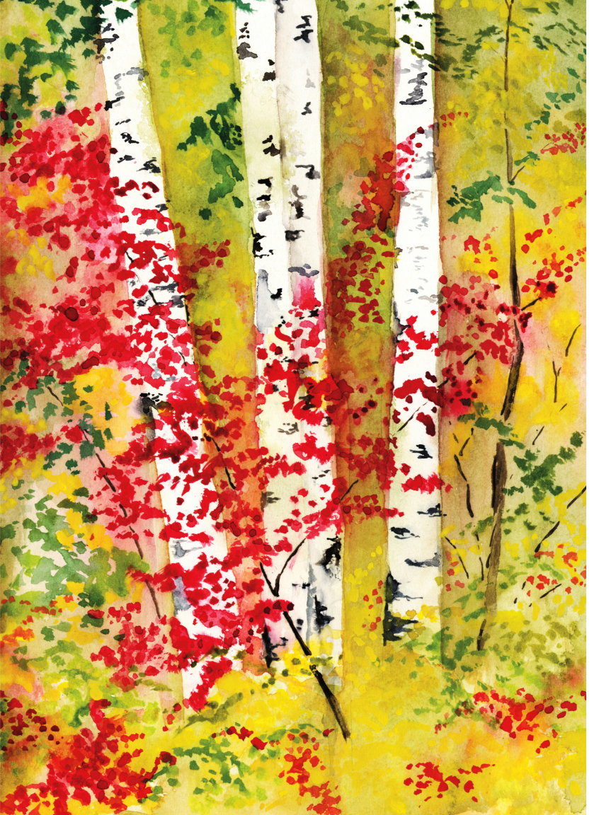 Birches II Watercolor 