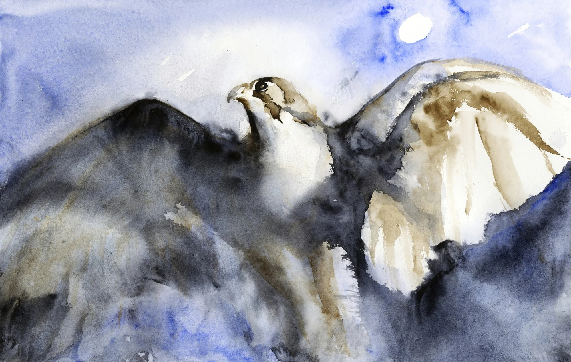 Falcon Leaving II