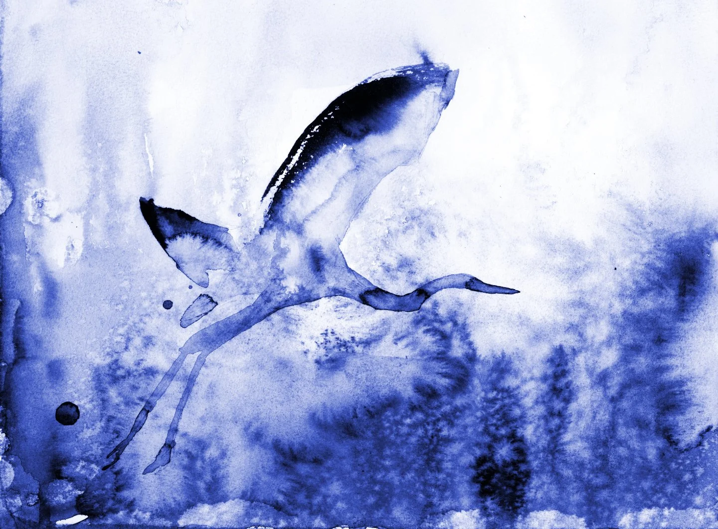 v2 Heron Leaving Sketch III web.jpg