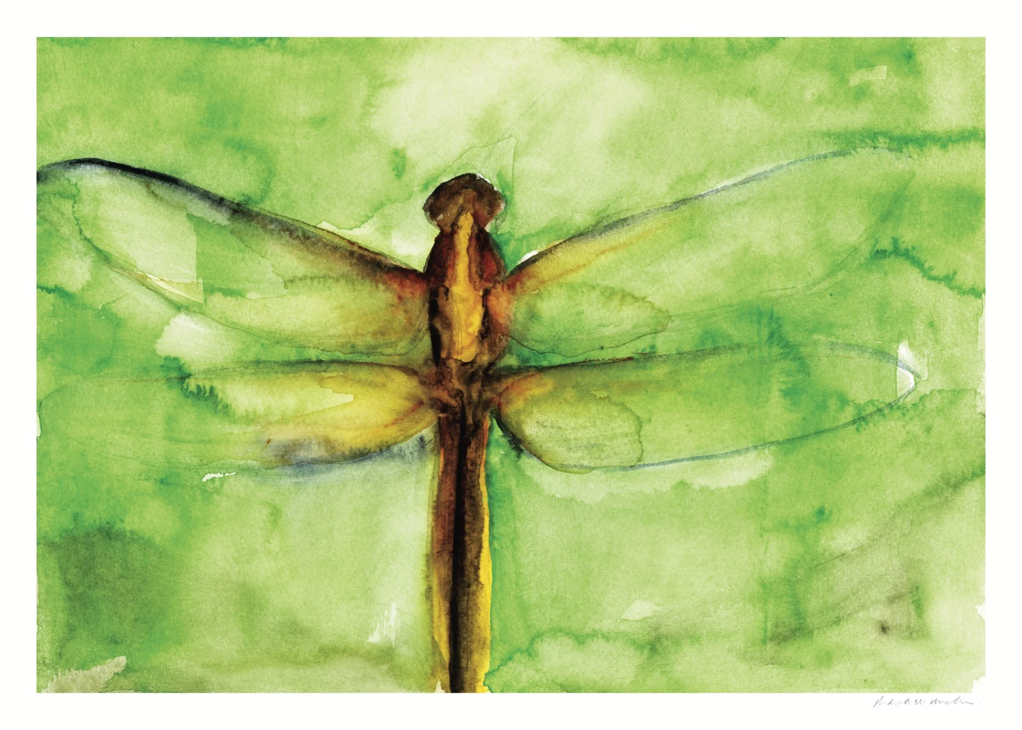 5502C_Dragonfly Watercolor Sketch web.jpg