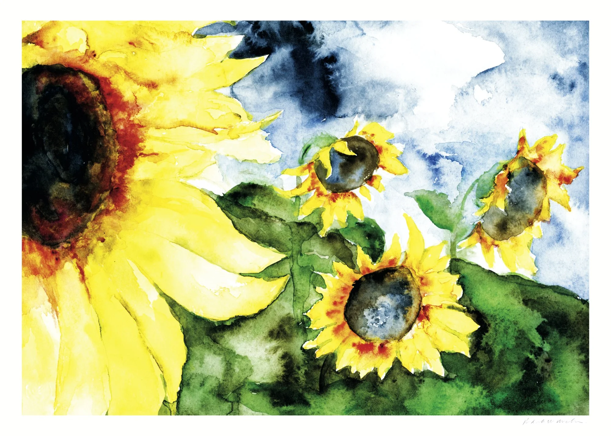 5203B_SuryaNamaskara web.jpg