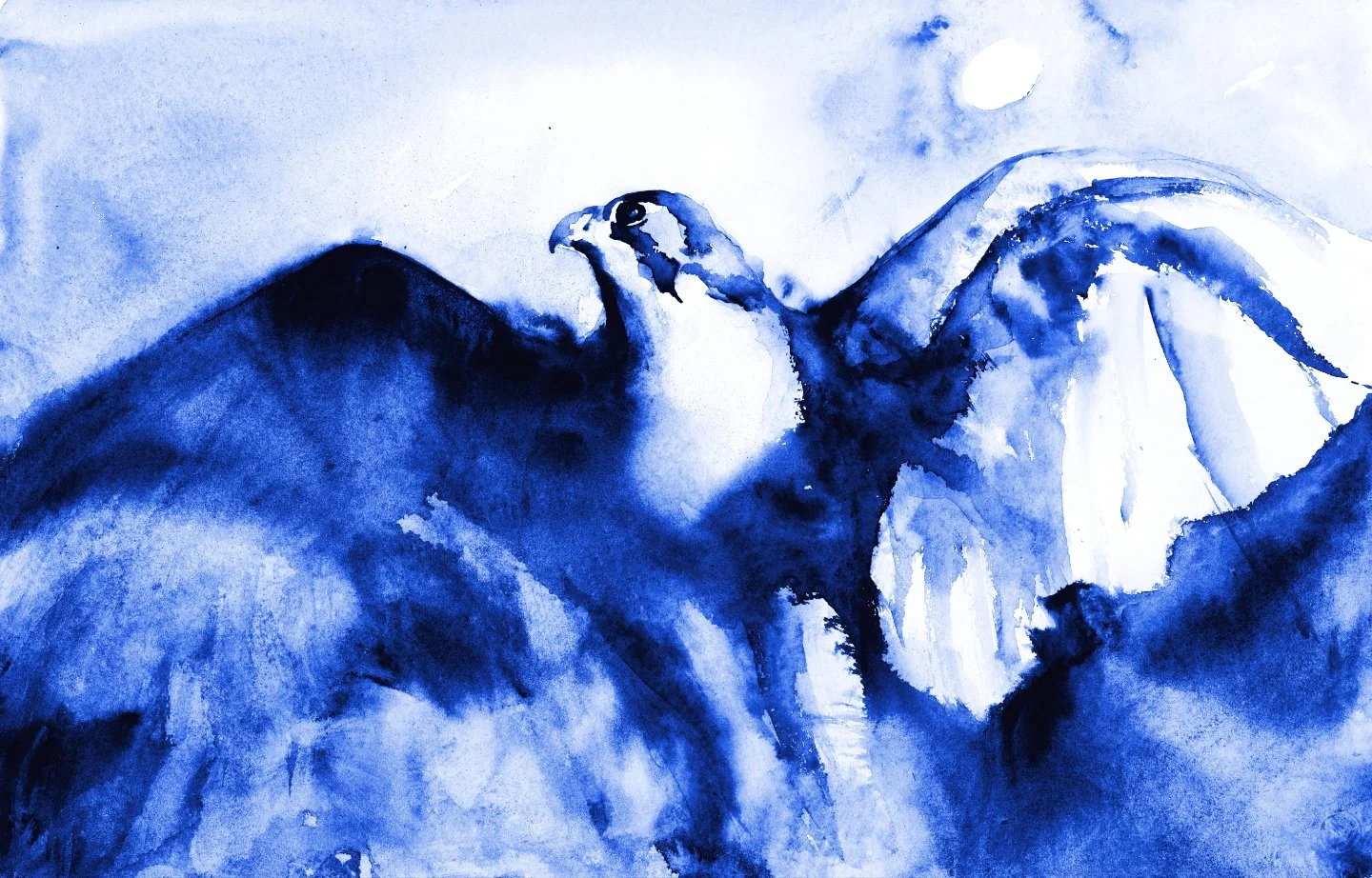 Falcon Leaving II web.jpg