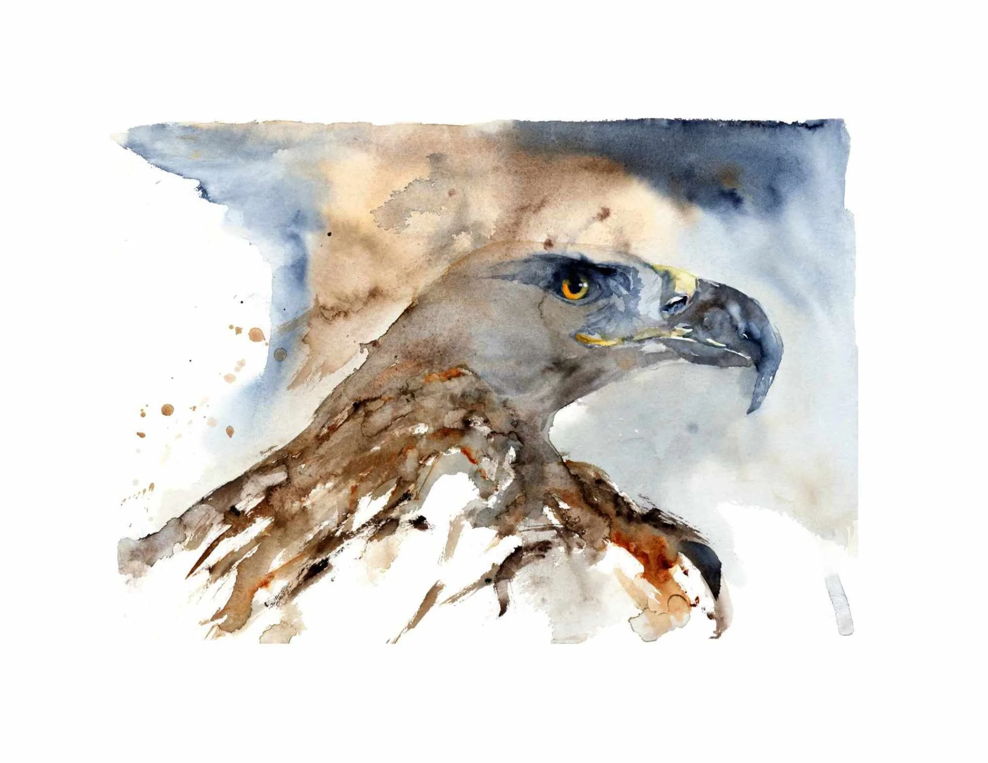 v2 Watching White Border.jpg