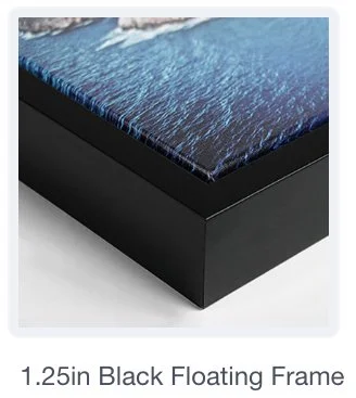 Black Floater Frame V2.jpg