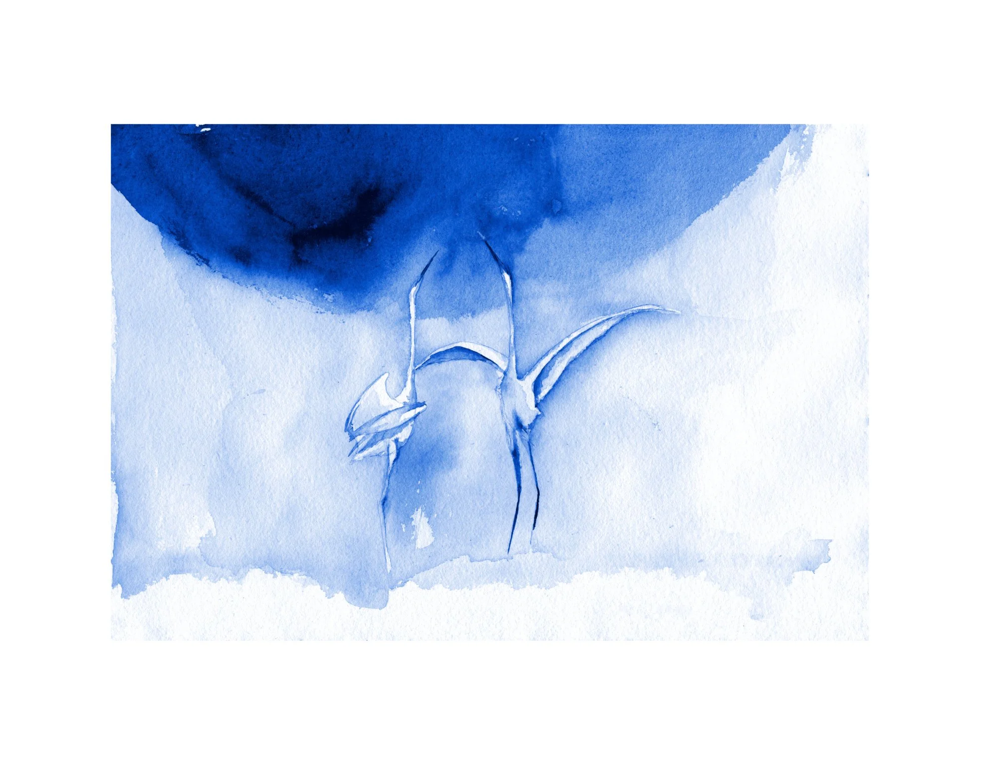 Great Egret Meeting White Border.jpg