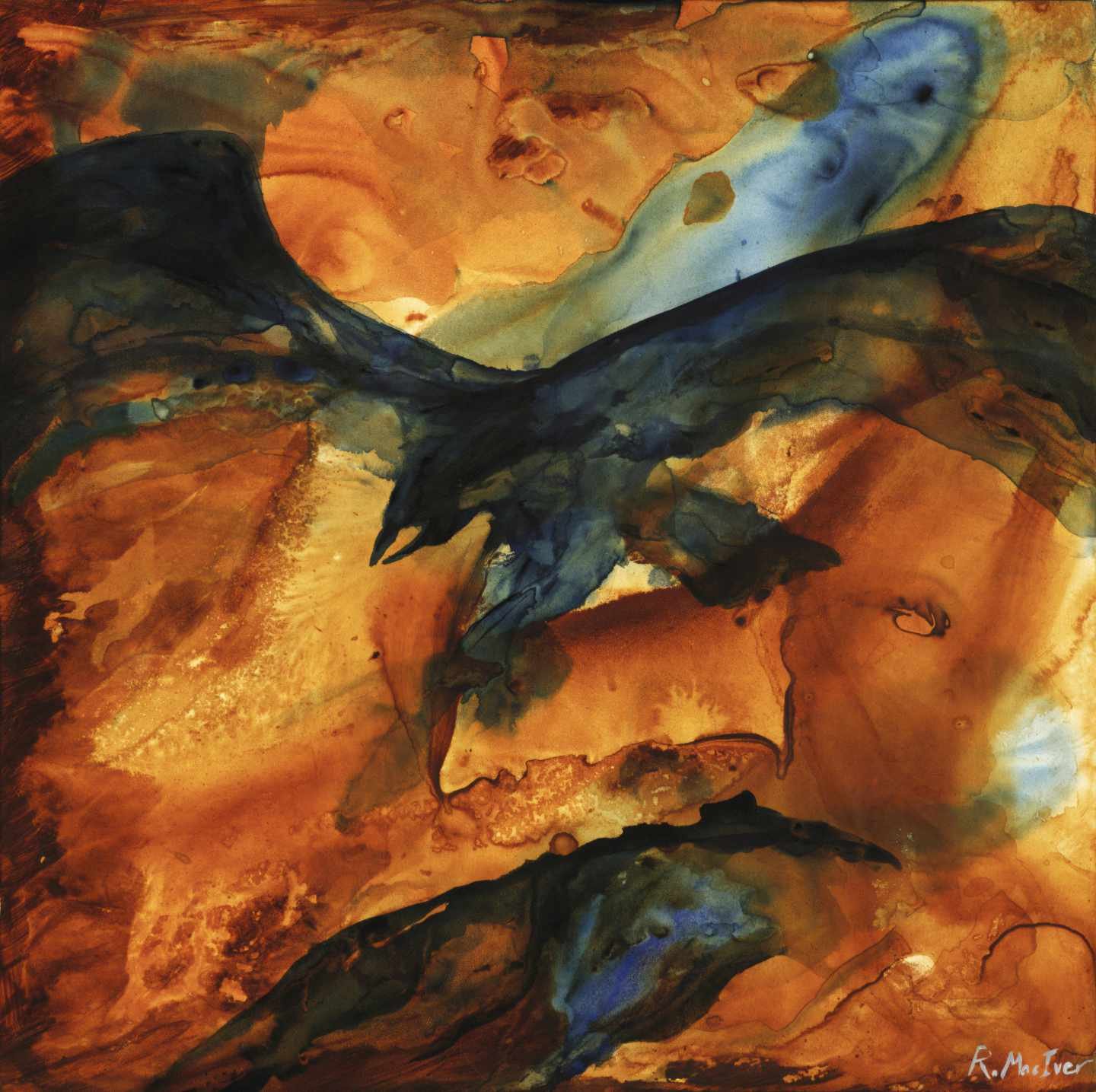 Canyon Crow 20 for web.jpg