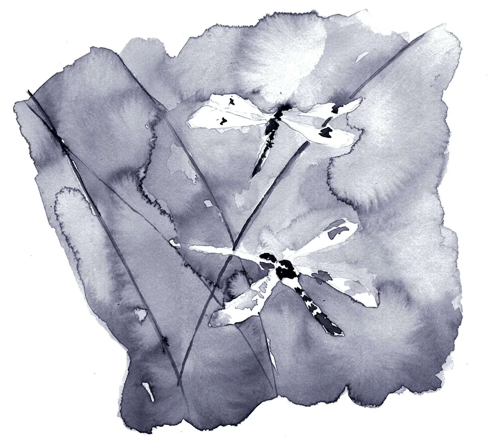 Two Dragonflies Watercolor
