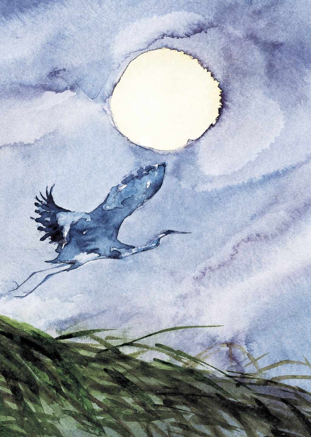 ReCreation for web.jpg