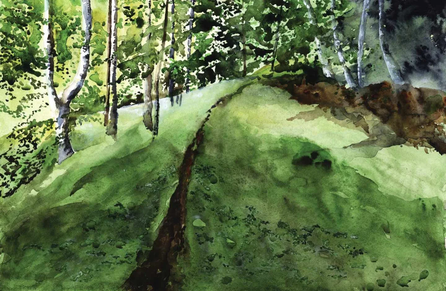 Mountain Meadow 20 web.jpg