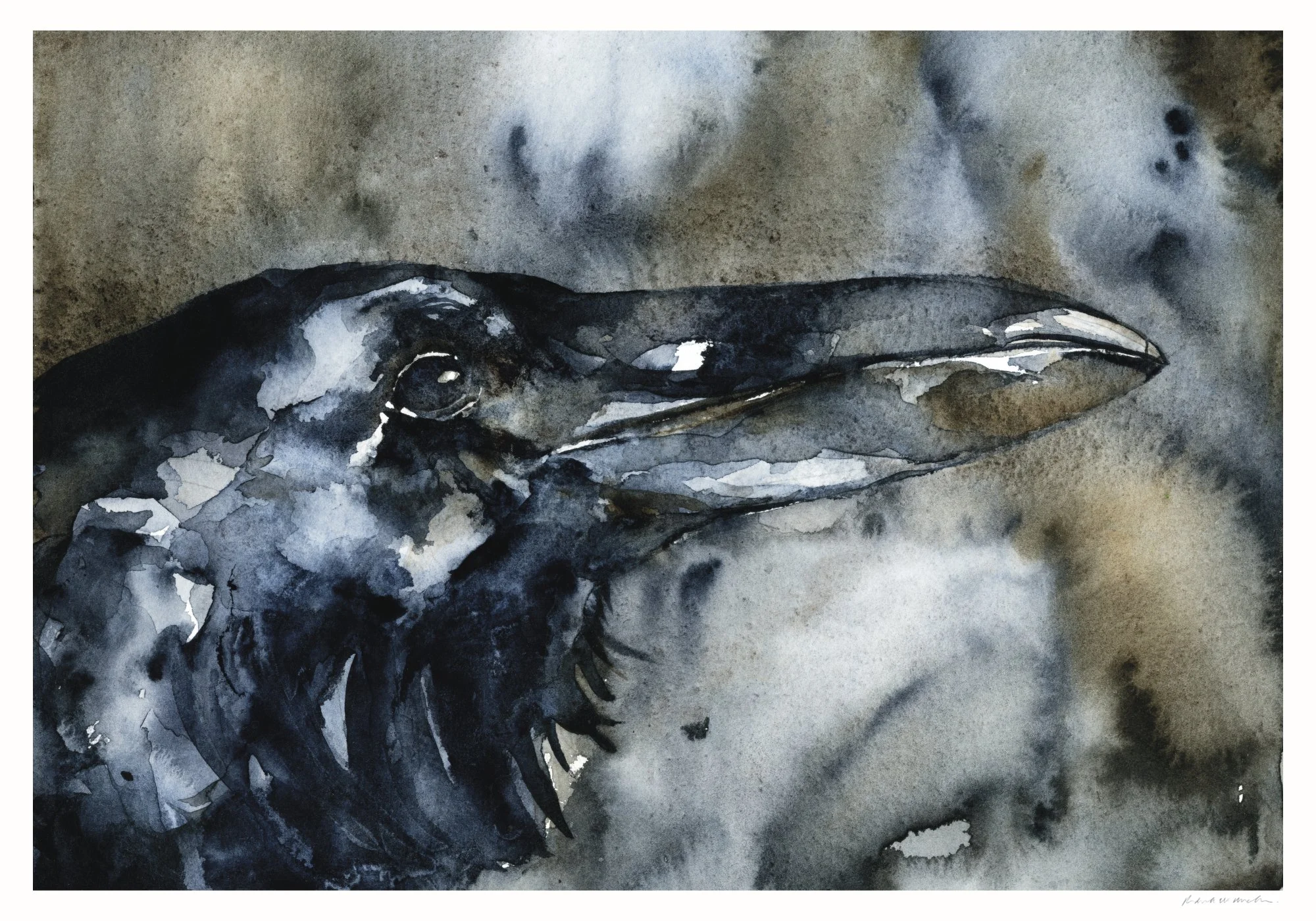 Poe'sRaven II web.jpg (Copy)