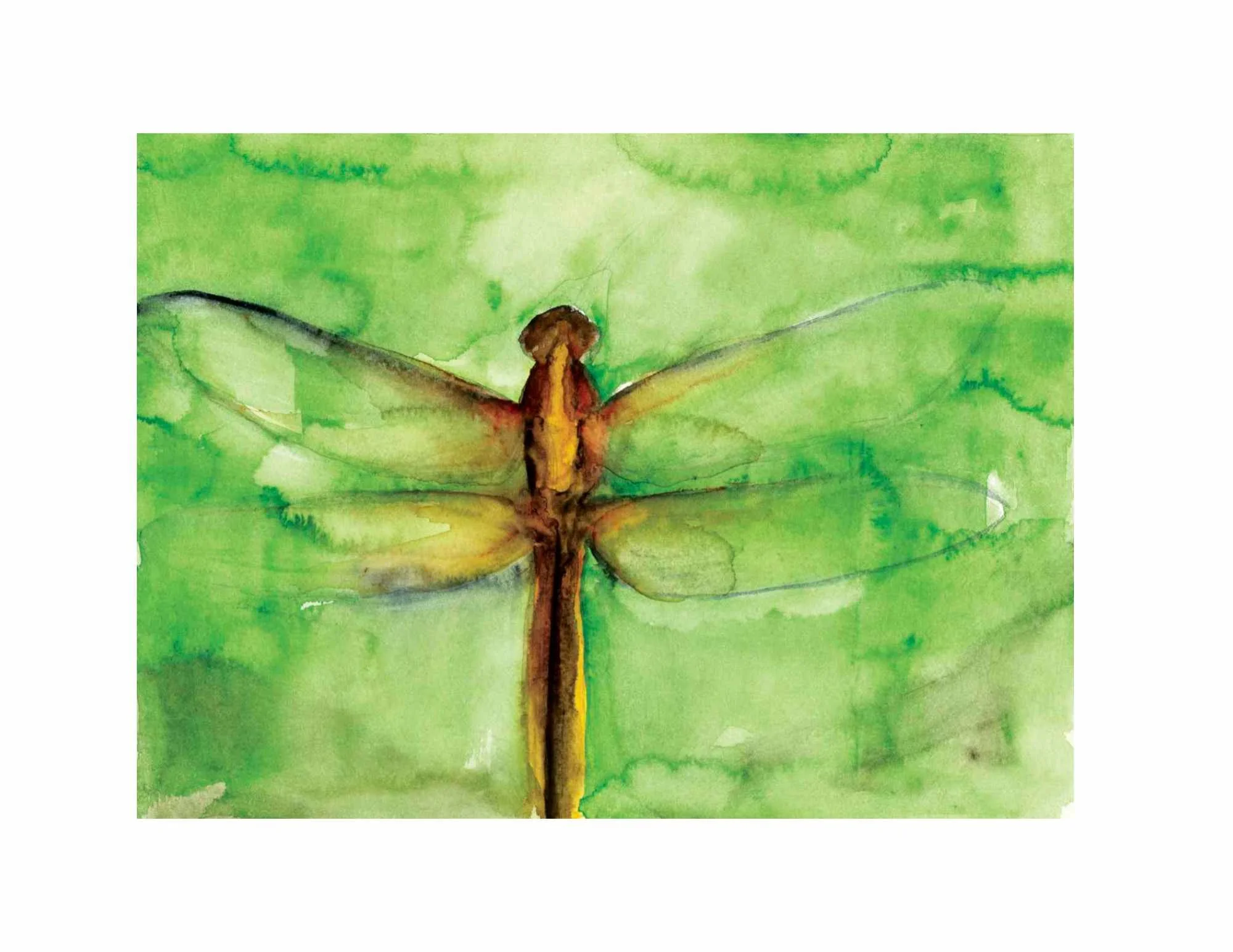 Dragonfly Watercolor Sketch