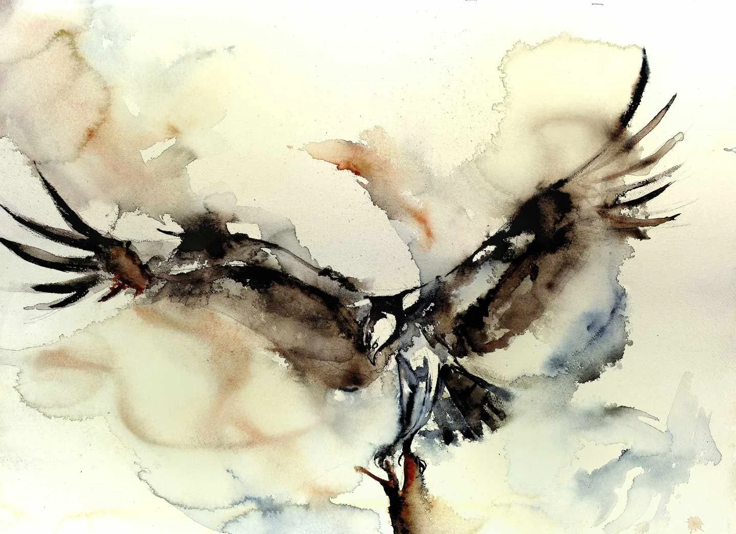 Osprey Landing 20 web.jpg