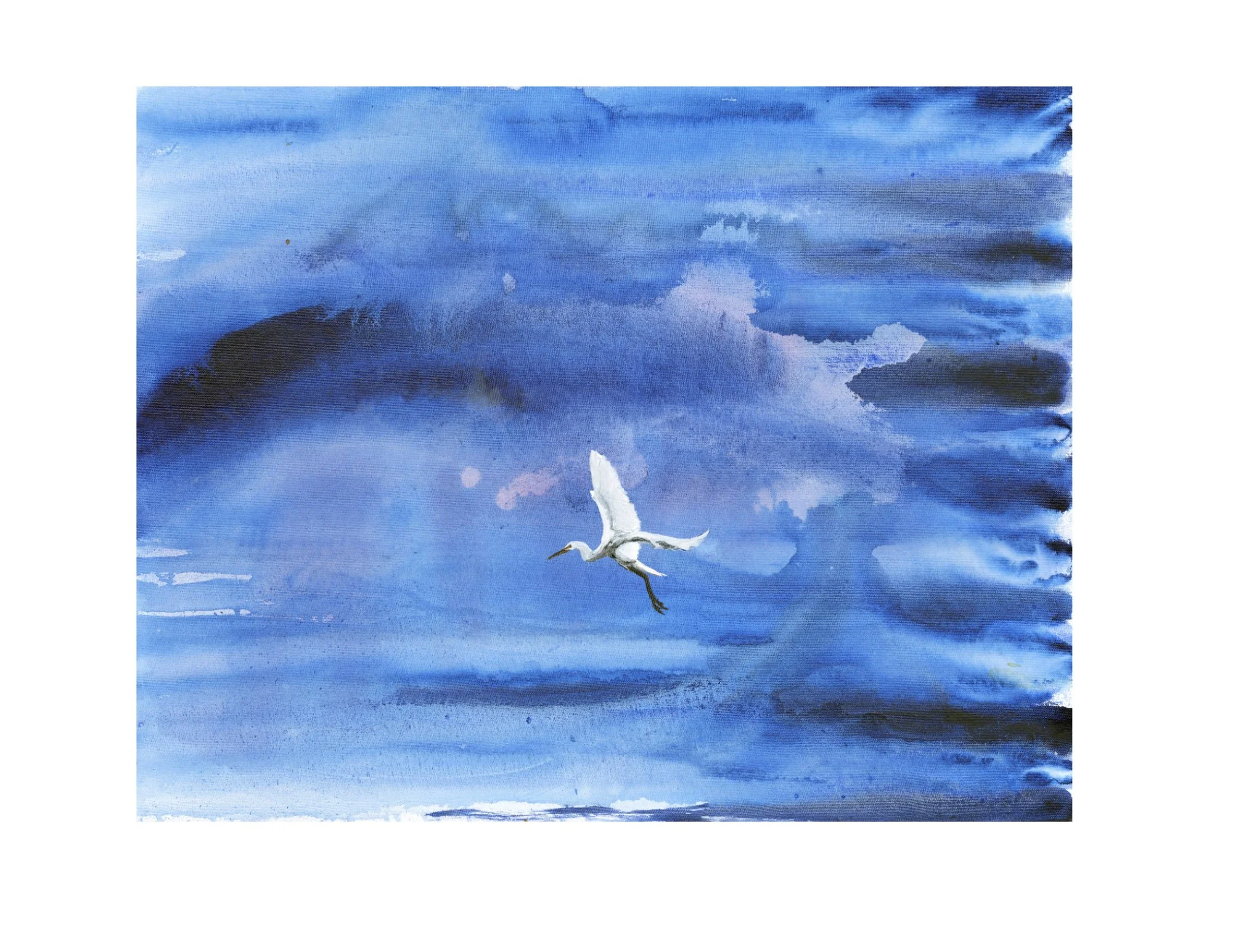 Blue Sky Egret White Border.jpg