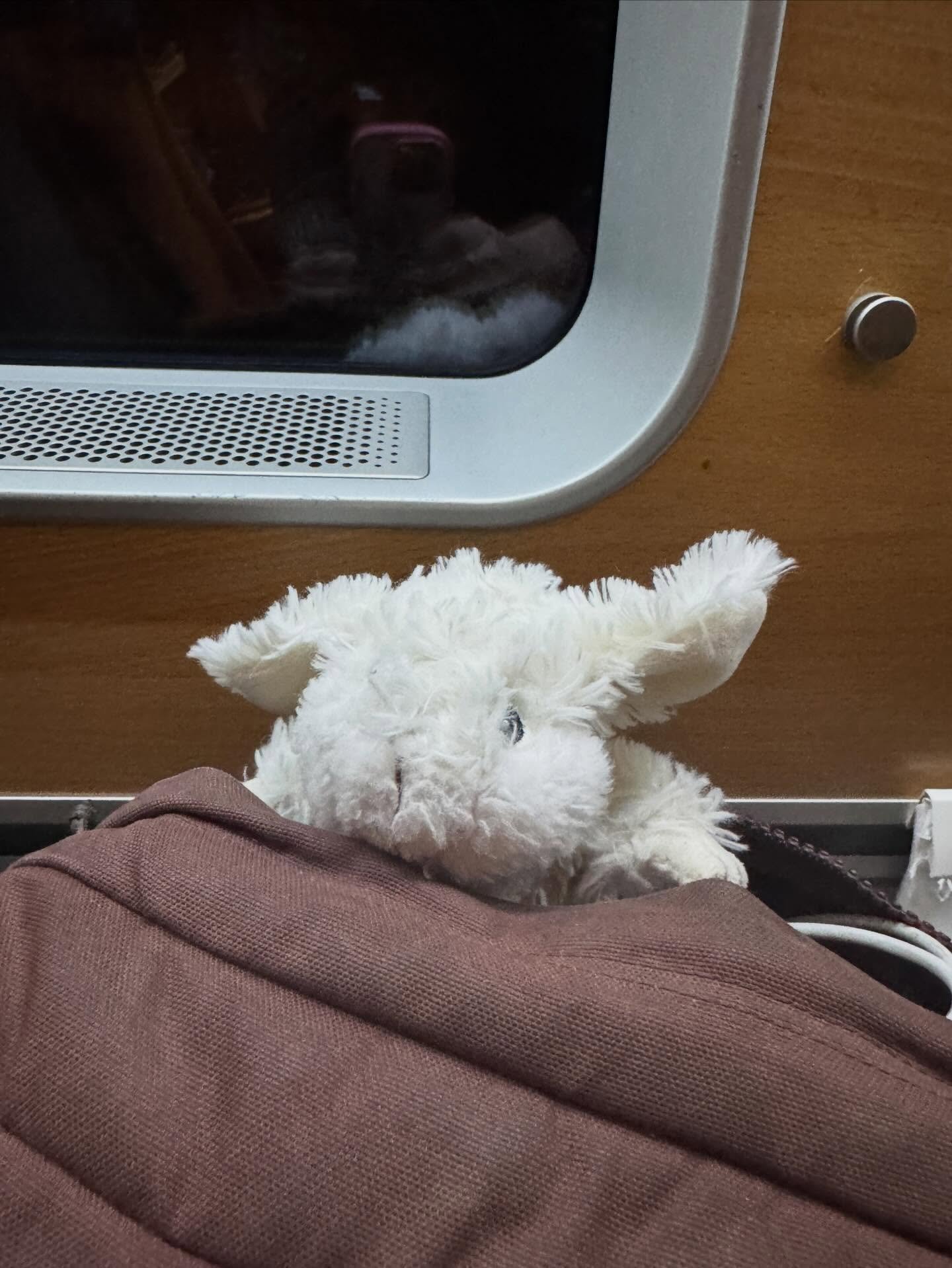 M&ouml;t v&aring;r nyaste medarbetare: Kaninis.  Den har blivit castad i en huvudroll i h&ouml;stens premi&auml;r f&ouml;r f&ouml;rskolan: Flyktsaker.  Ig&aring;r var Kaninis tillsammans med v&aring;r sk&aring;despelare Love p&aring; fortbildning i S