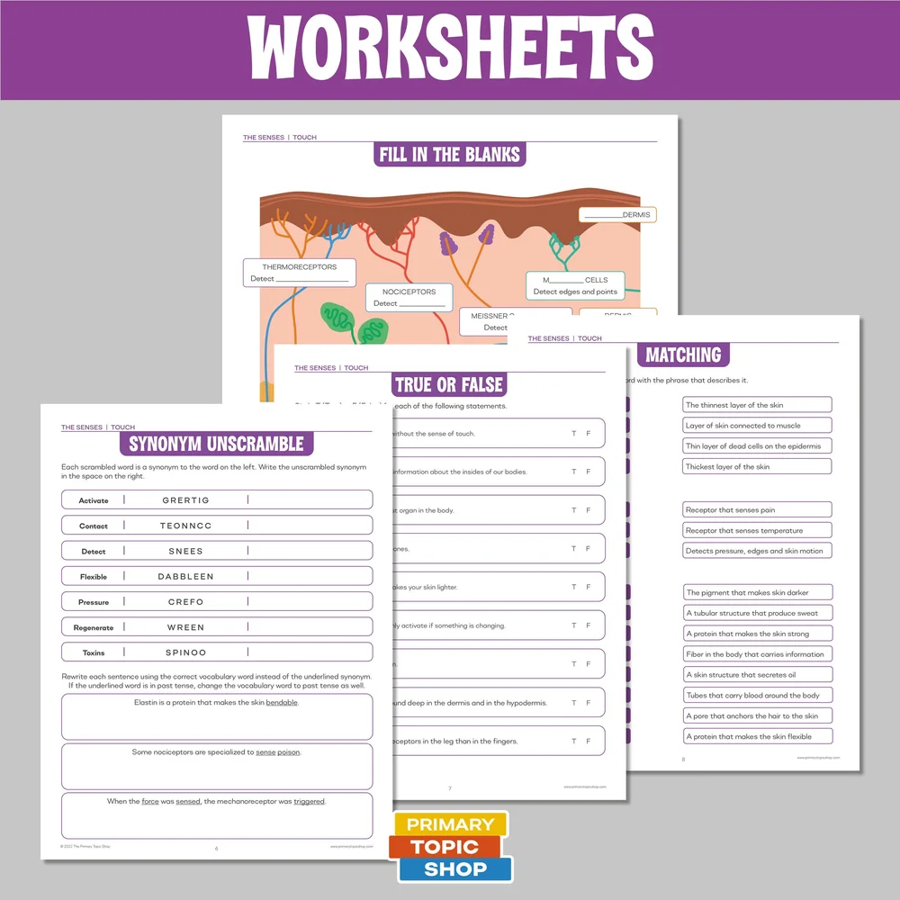 The Five Sense Resource Bundle for Grades 4-6 — Primary Topic Shop