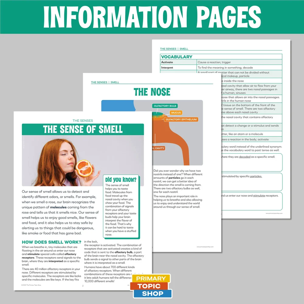 The Five Sense Resource Bundle for Grades 4-6 — Primary Topic Shop