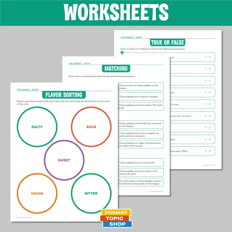 The Five Sense Resource Bundle for Grades 4-6 — Primary Topic Shop