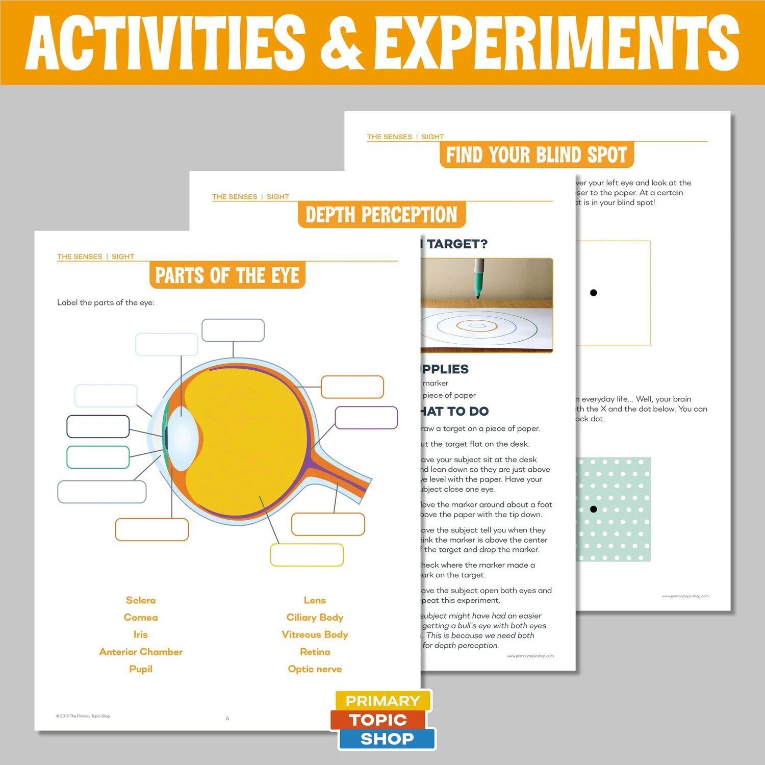 The Five Sense Resource Bundle for Grades 4-6 — Primary Topic Shop