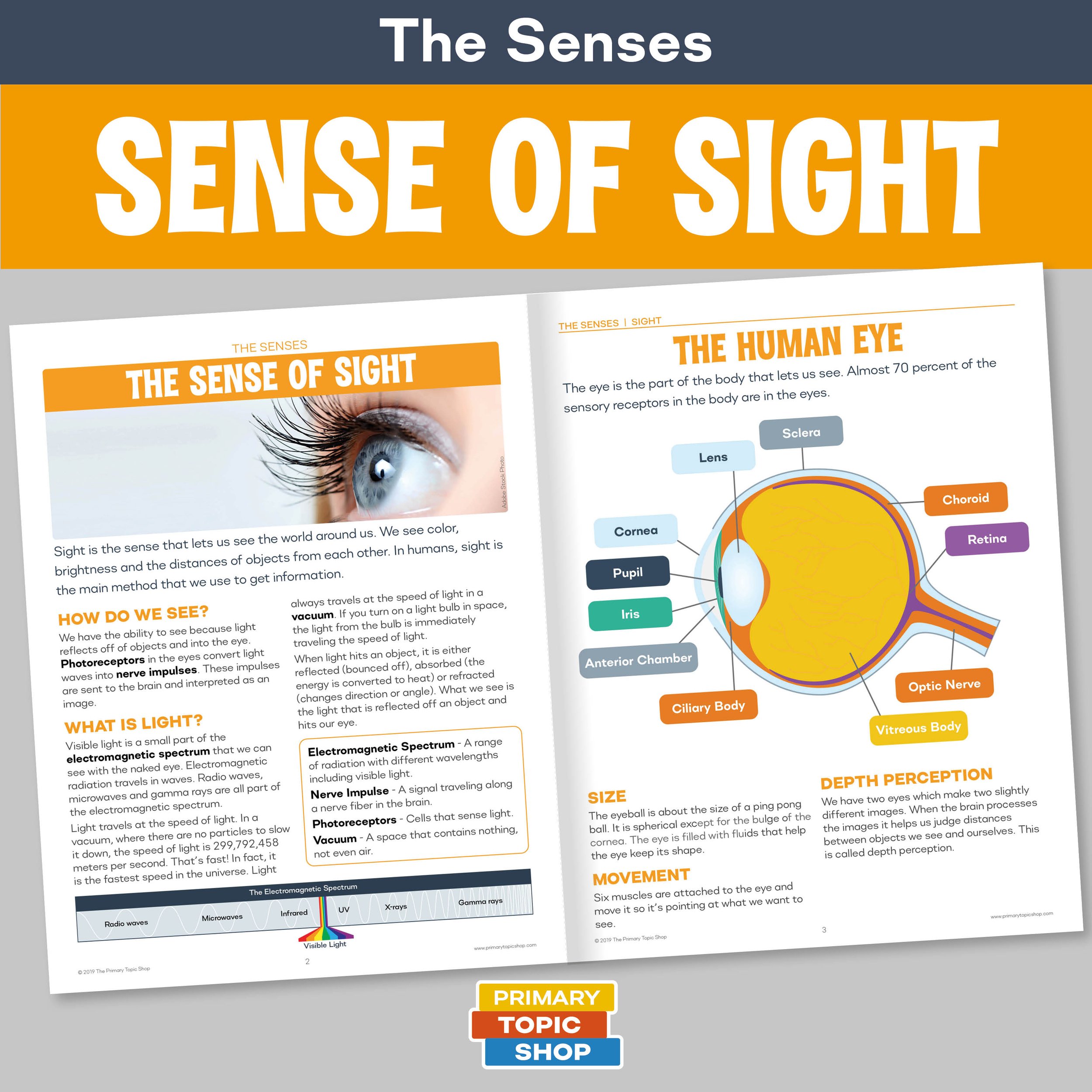 The Five Sense Resource Bundle for Grades 4-6 — Primary Topic Shop