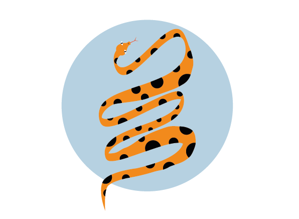 The Year of the Snake
