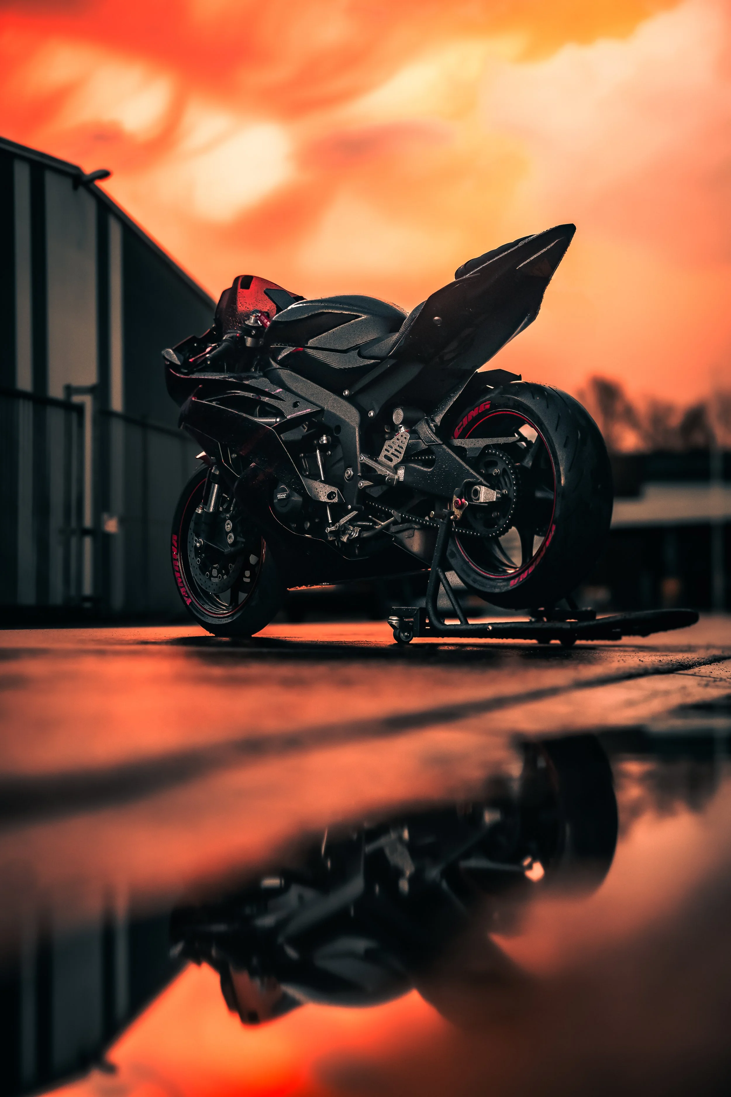 23-03-2024 Donna Reveal - V2-DSC00575-16.jpeg