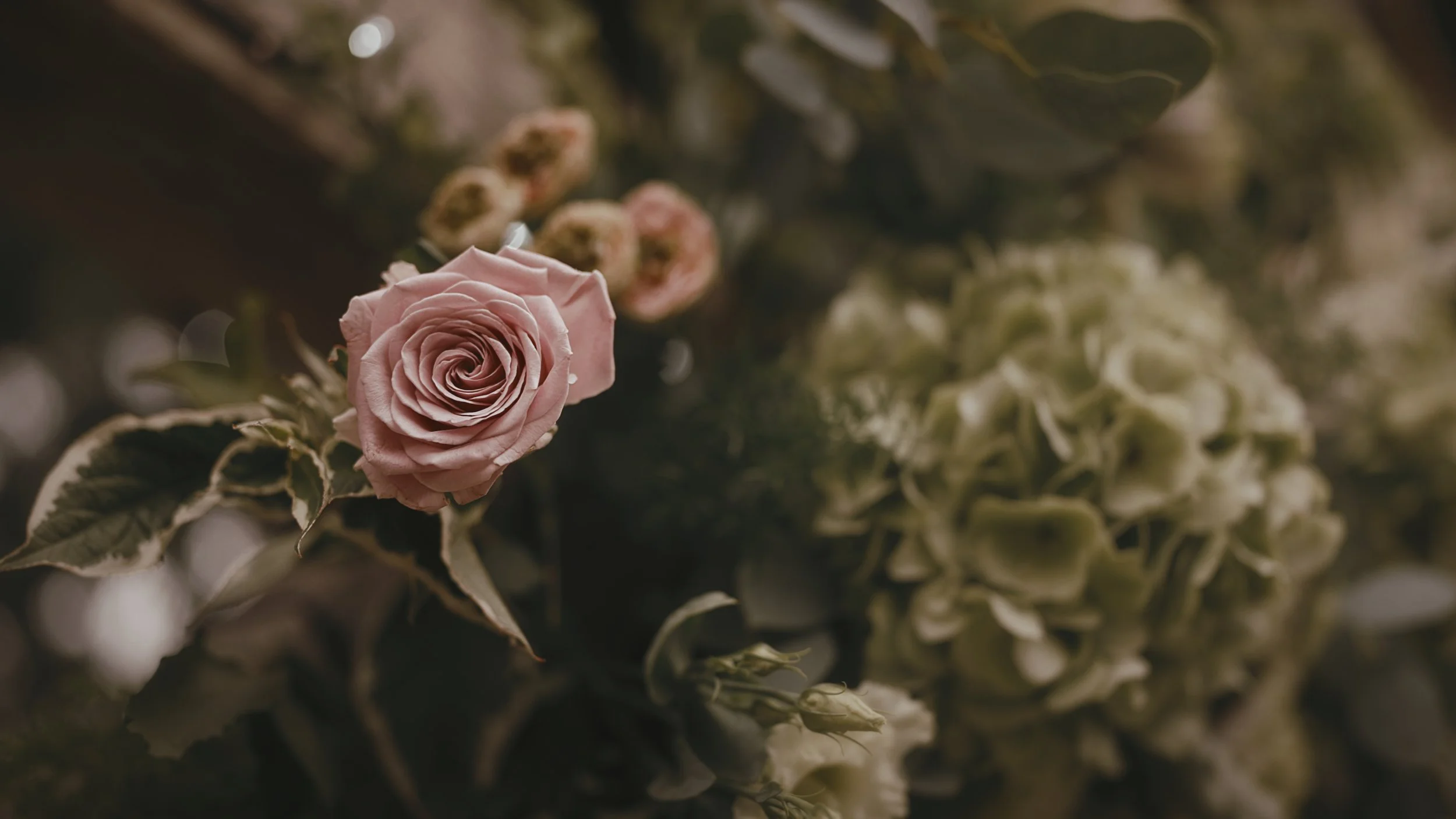 An image of a wedding at Winters Barns, captured by Kent wedding videographer Luke Batchelor Productions.