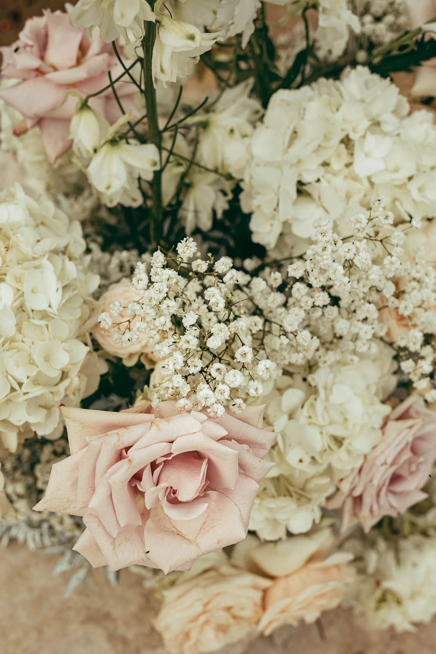 Table styling and florals photographed with cohesive photo and film direction