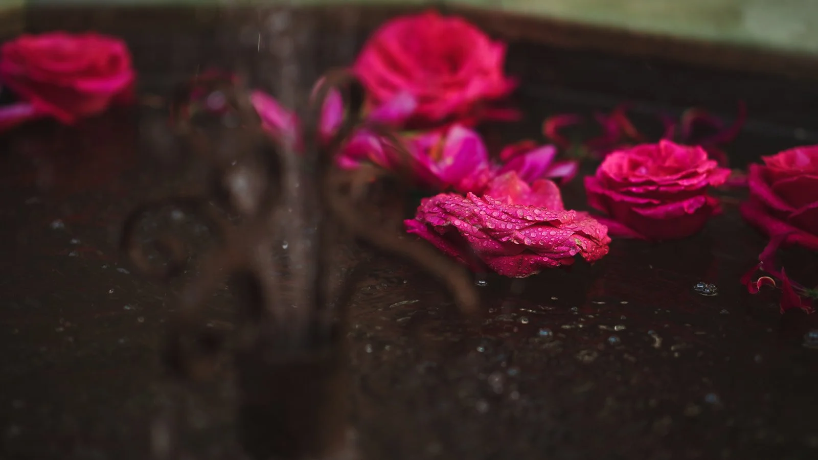 Bright pink flowers float on top of the water of a fountain in the centre of the Moroccan courtyard at port Lympne Hotel.