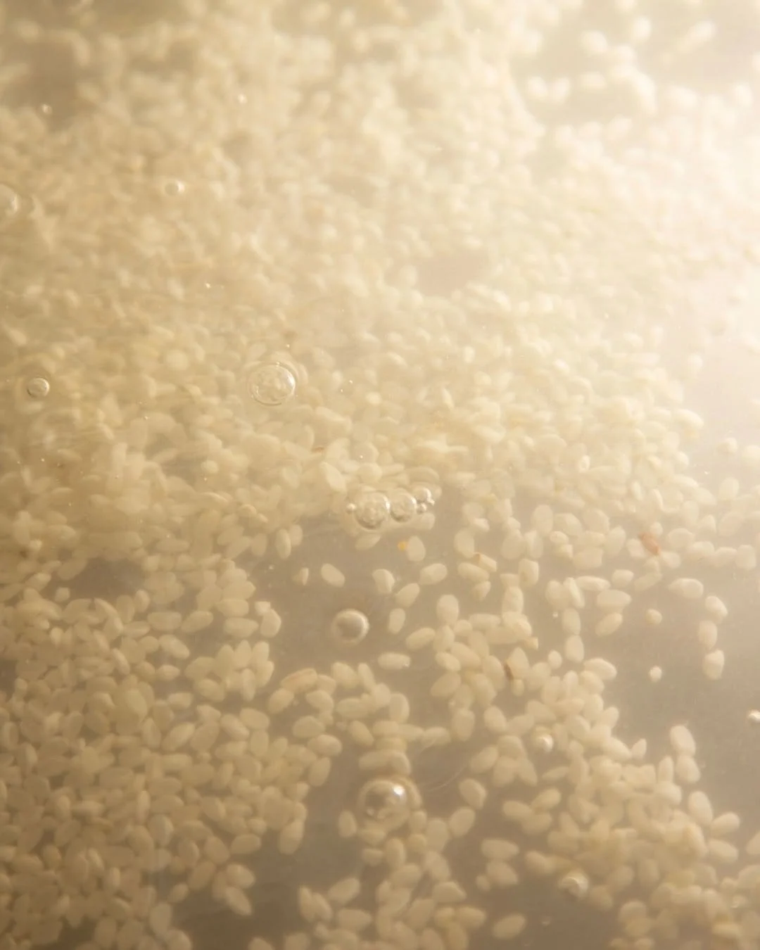 El arroz en cosmética: por qué la cosmética coreana lo utiliza desde hace siglos