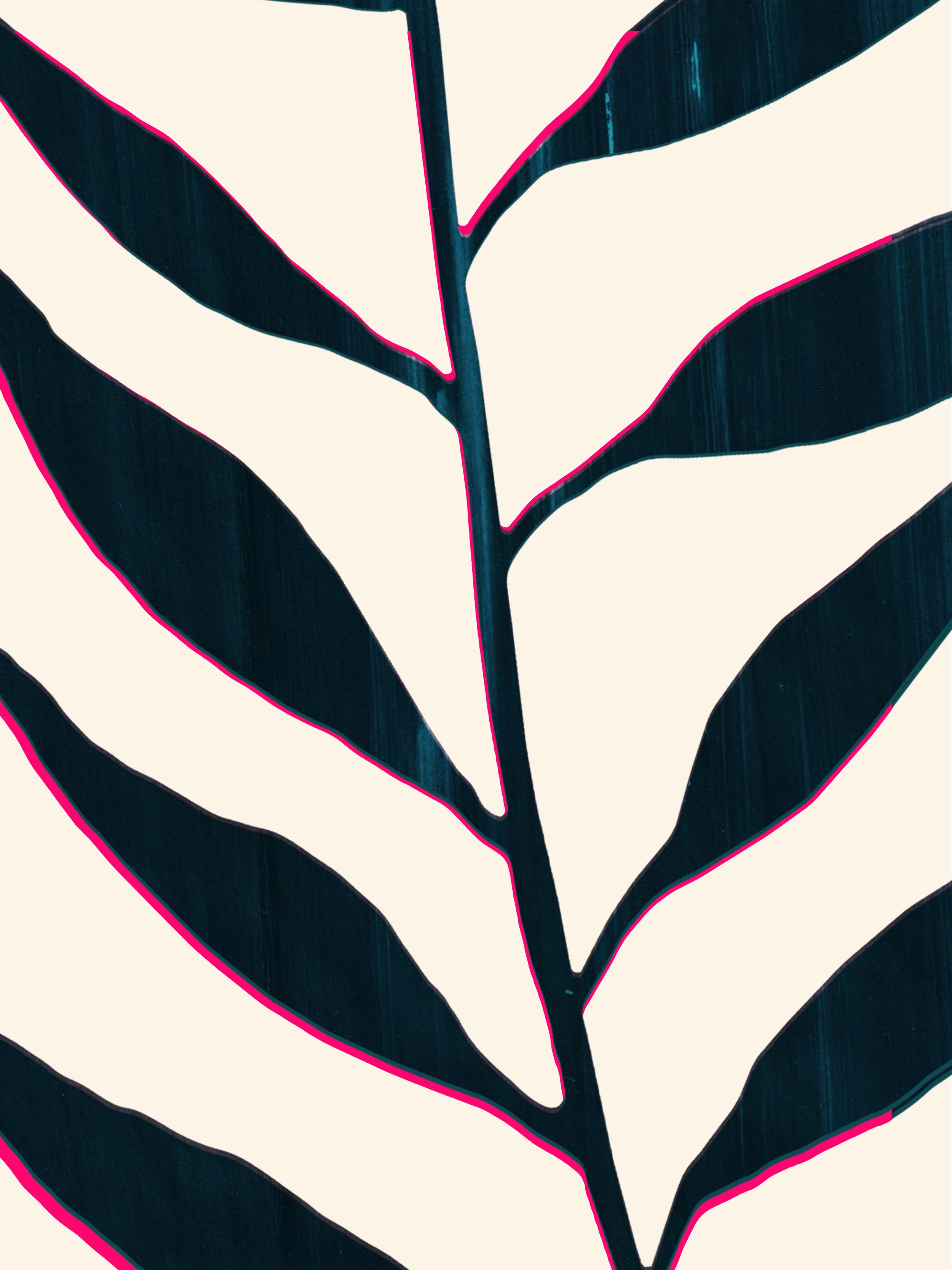 Black Pink Branch.jpg