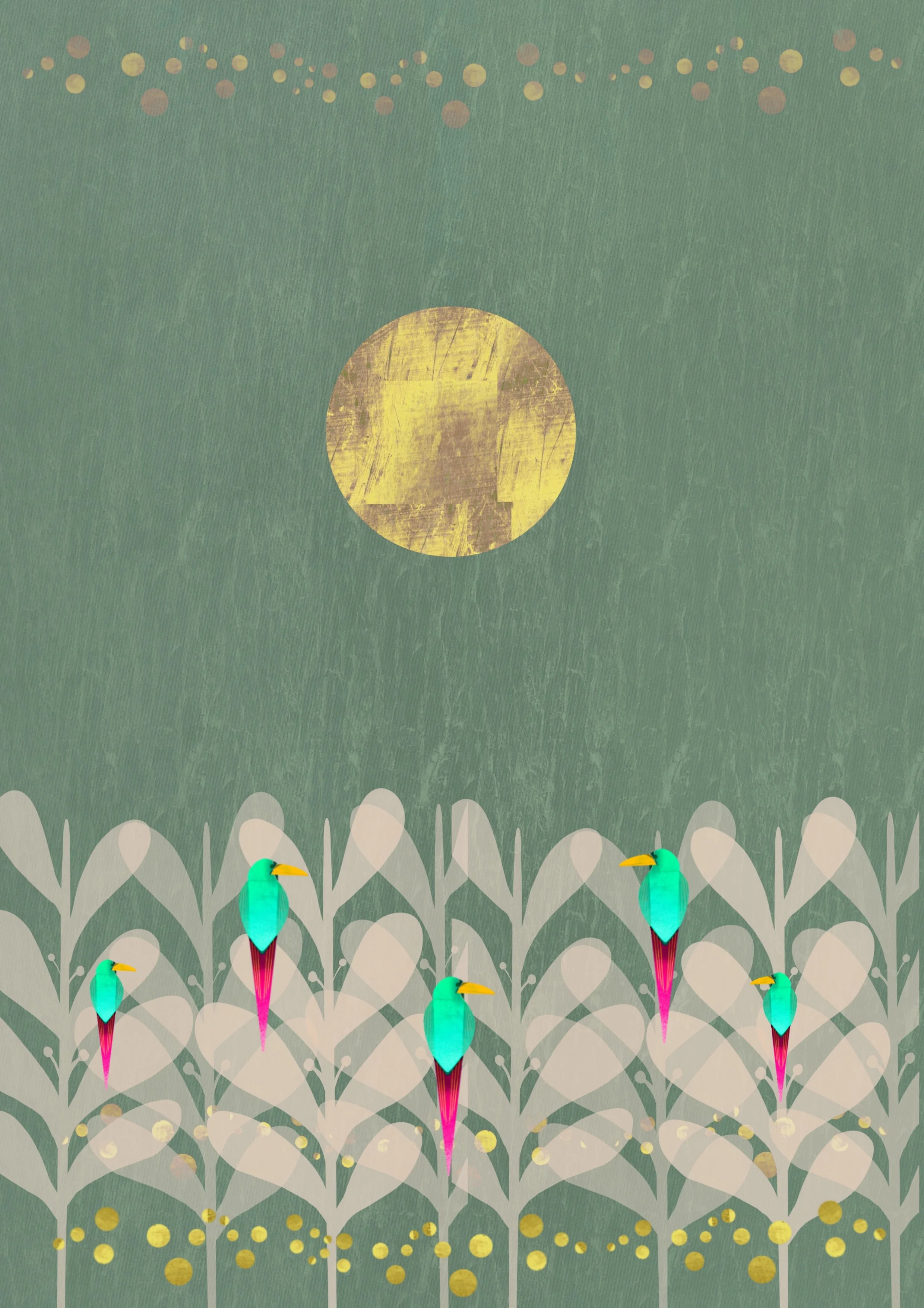 tropical birds and plants illustration, irish illustrator