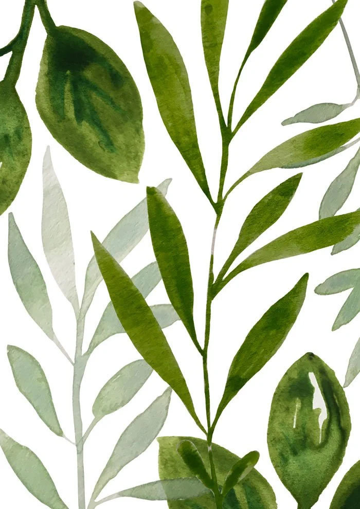 green-leaves2.jpg