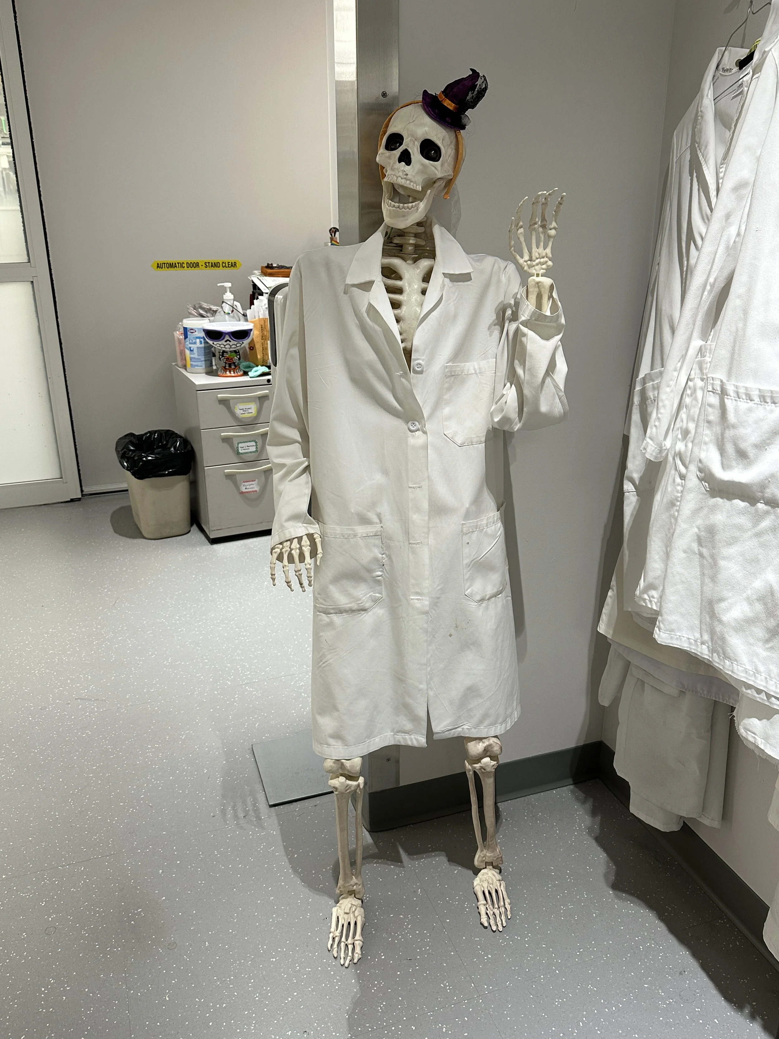 Spooky Season is here 🎃👻💀