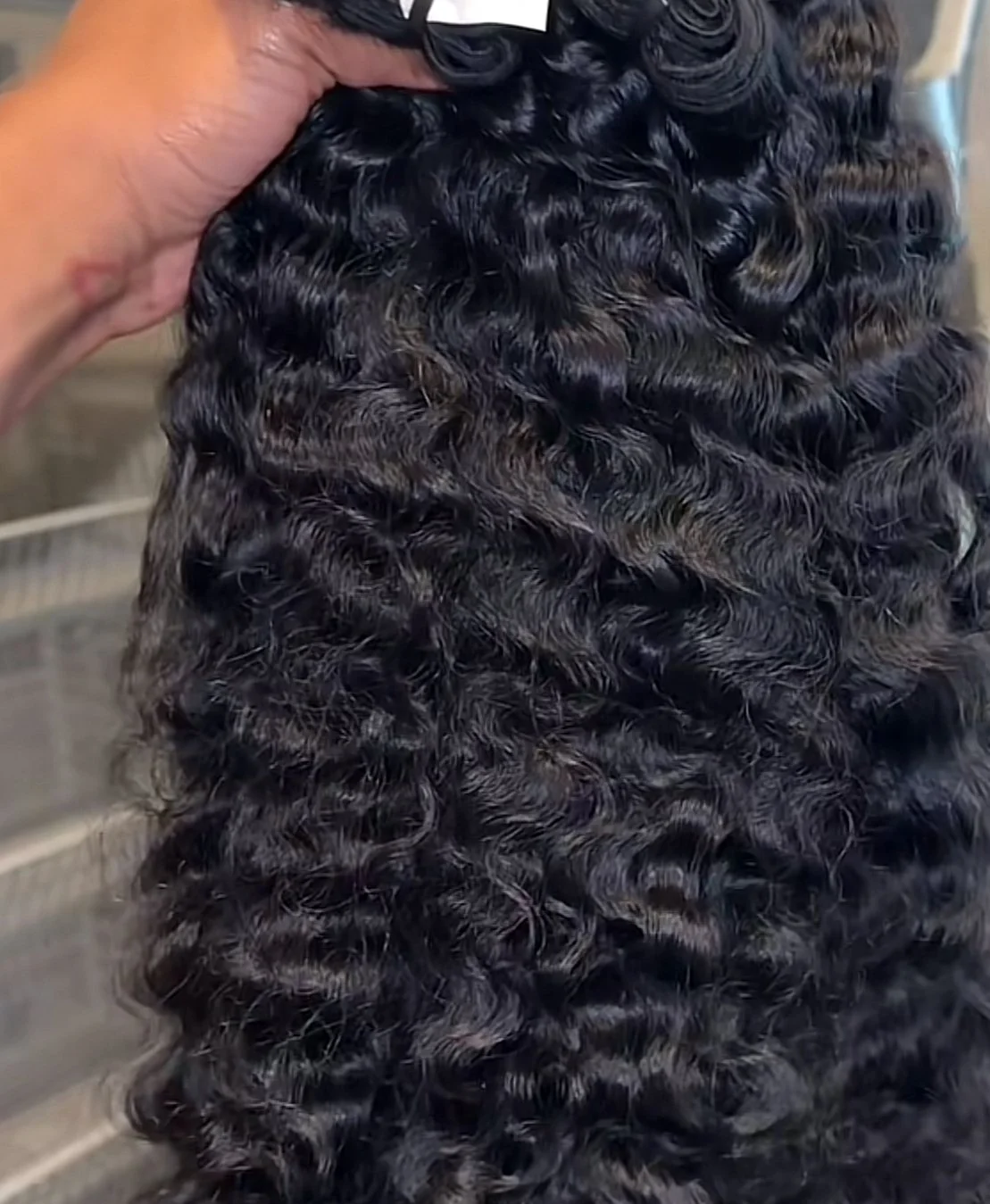 BURMESE CURL