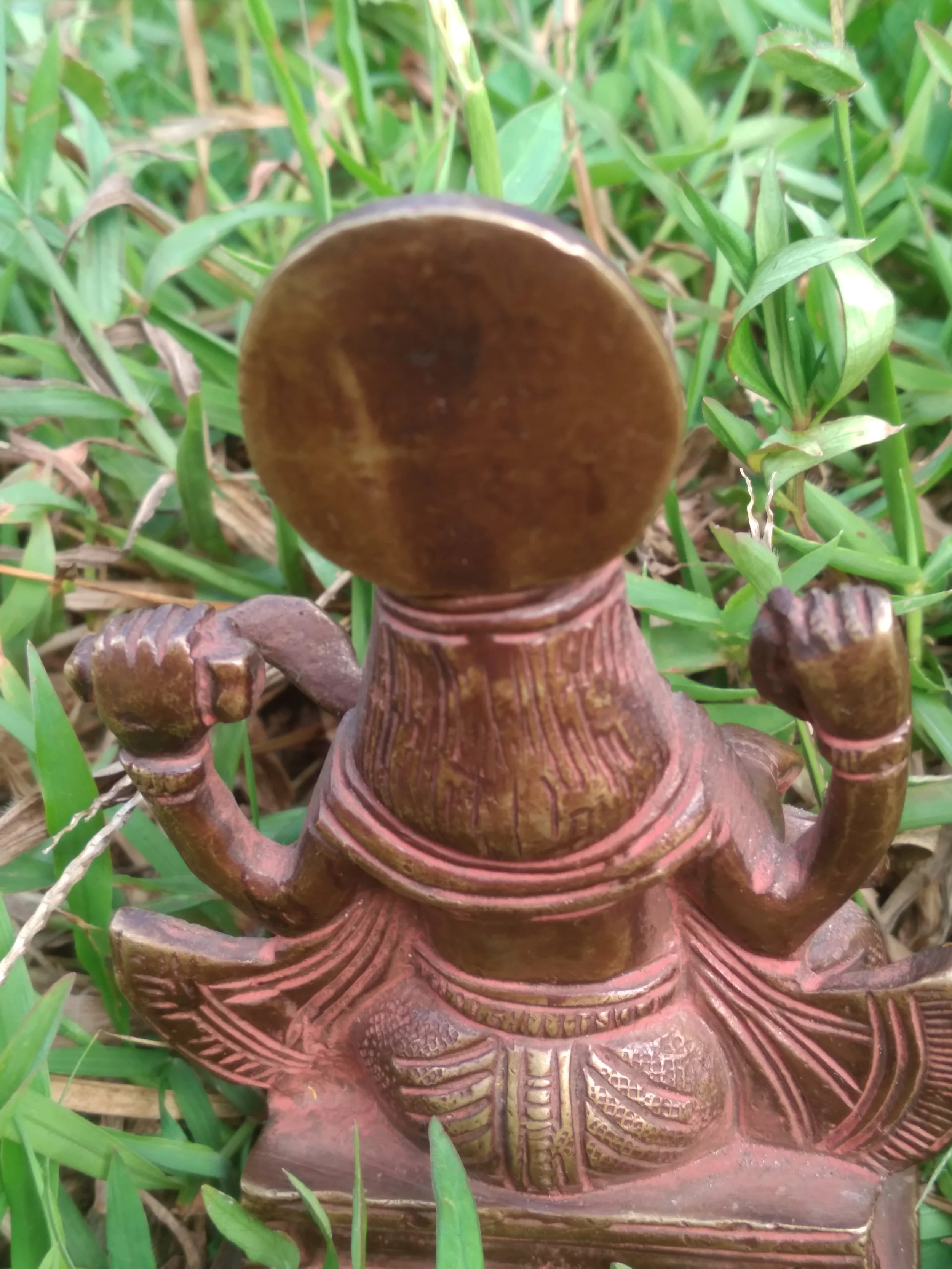 DW Art Sarasvati in full back in grass Mar 2026.jpg