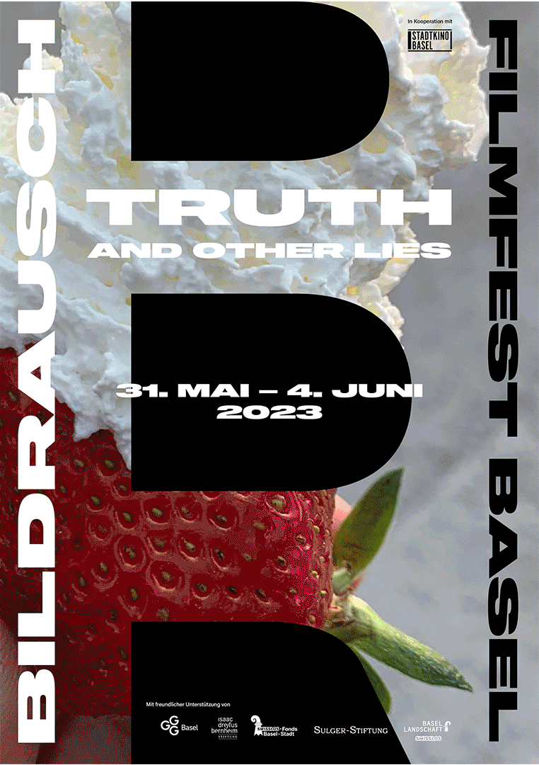 BILDRAUSCH_Plakate_animgif1.gif