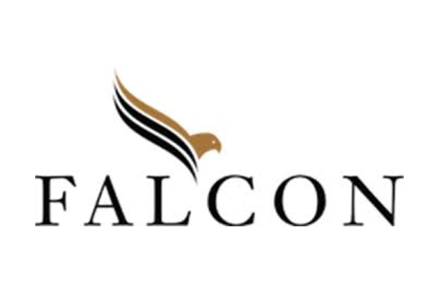 FalconCapital.png