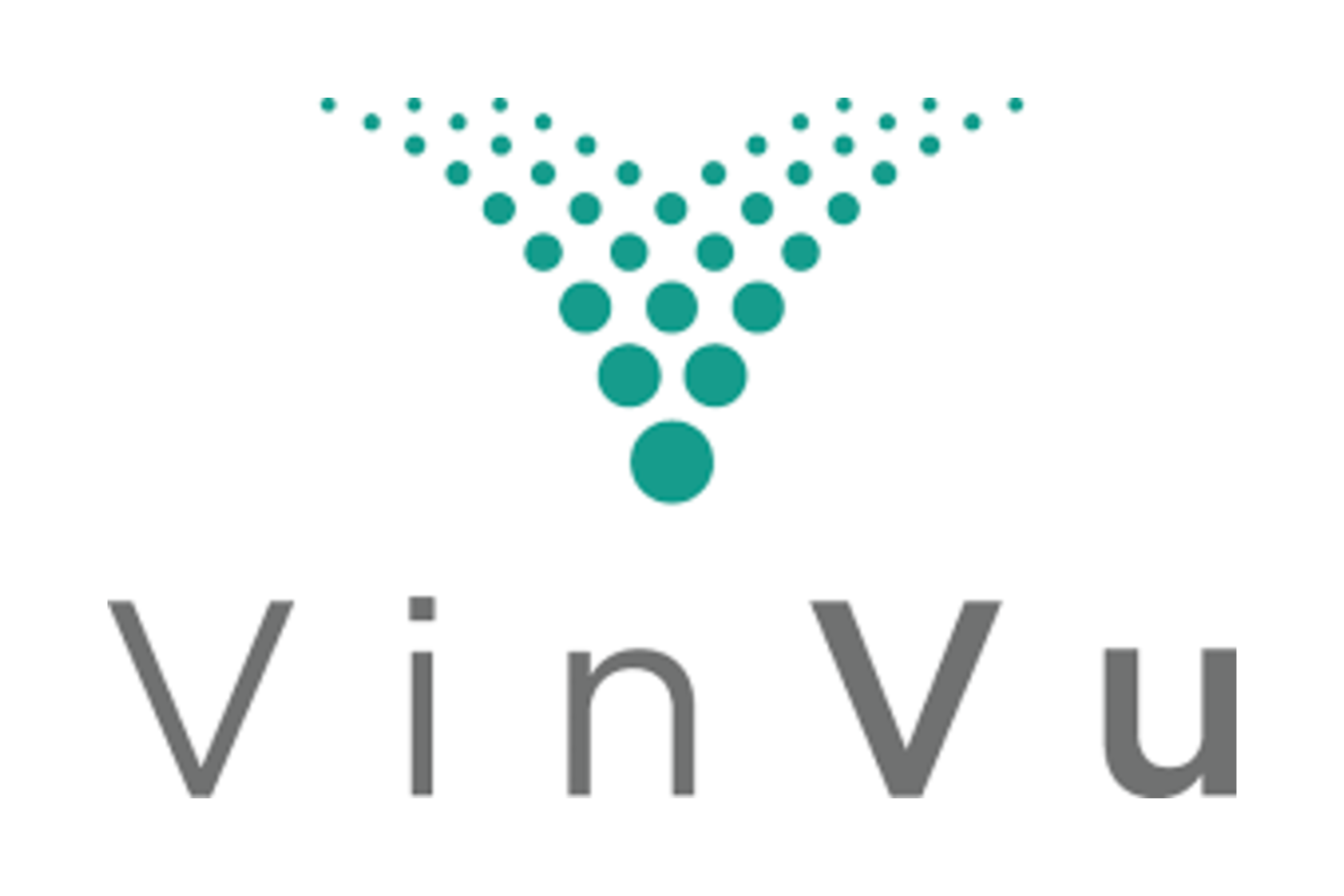 VinVu.png