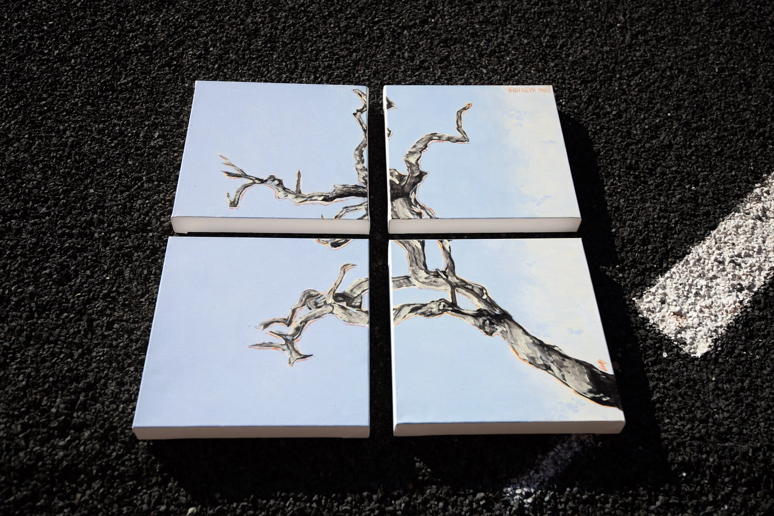 Photo by Tina Thames