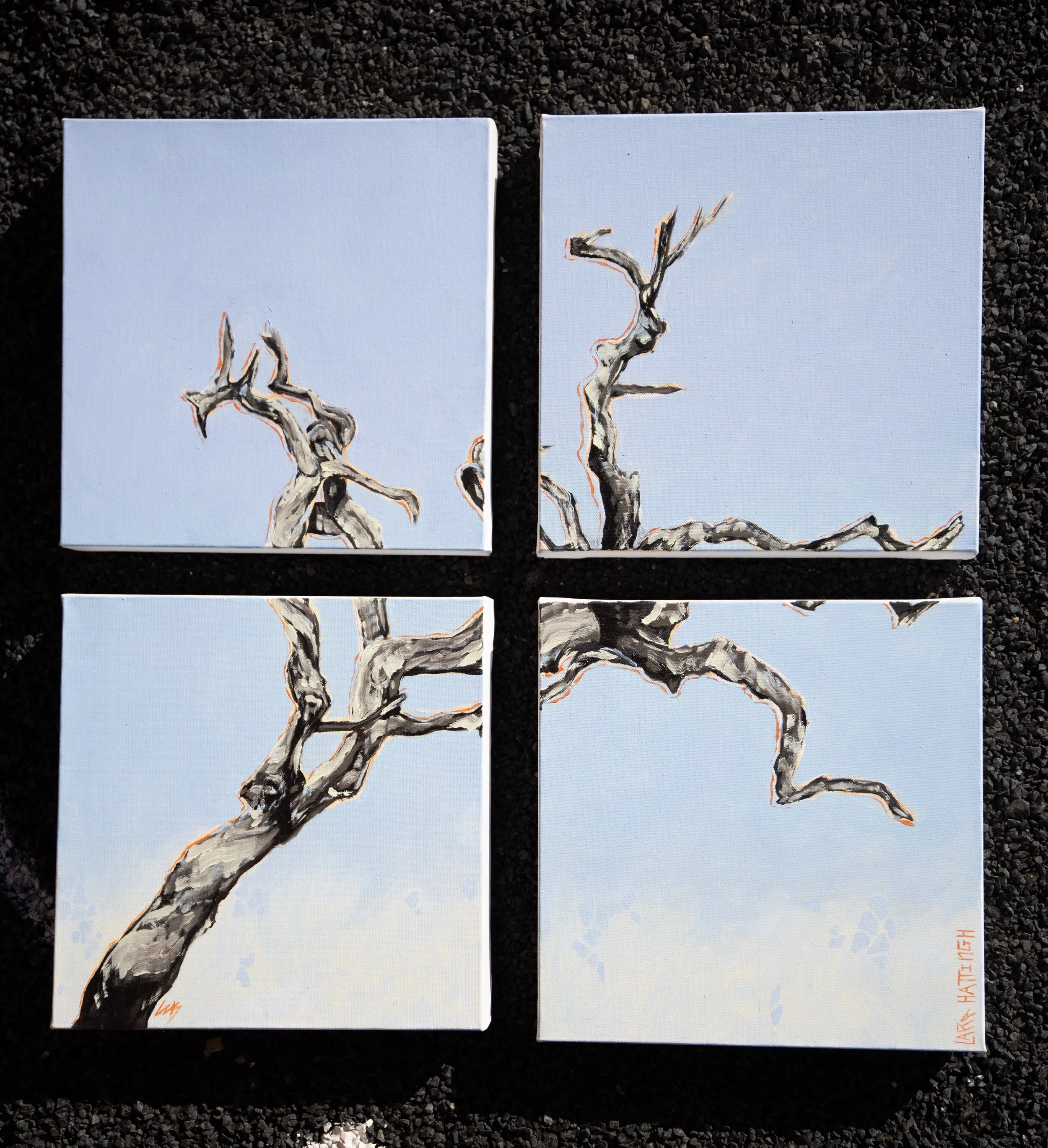 Photo by Tina Thames