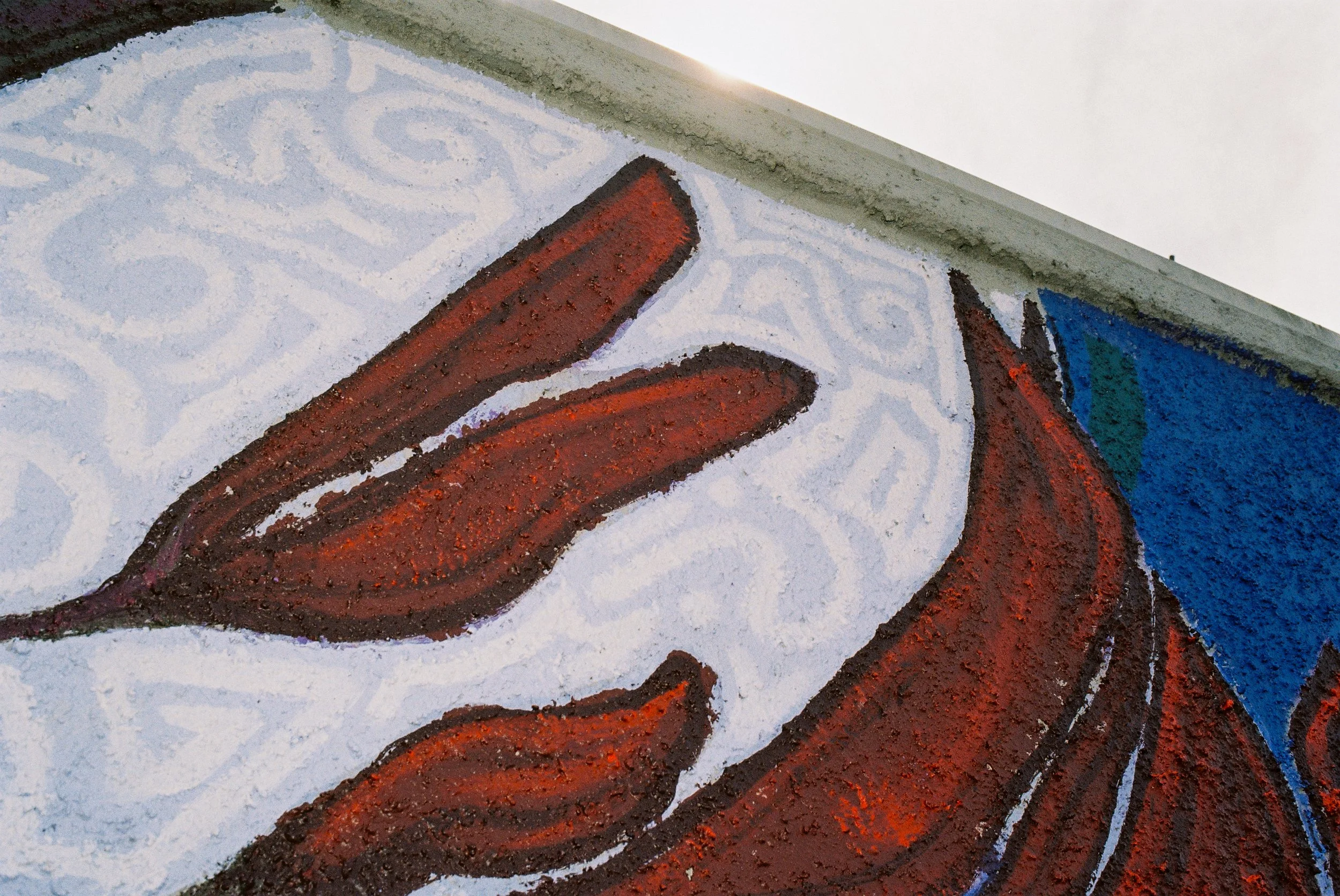 Photos by Kieran J Dodd